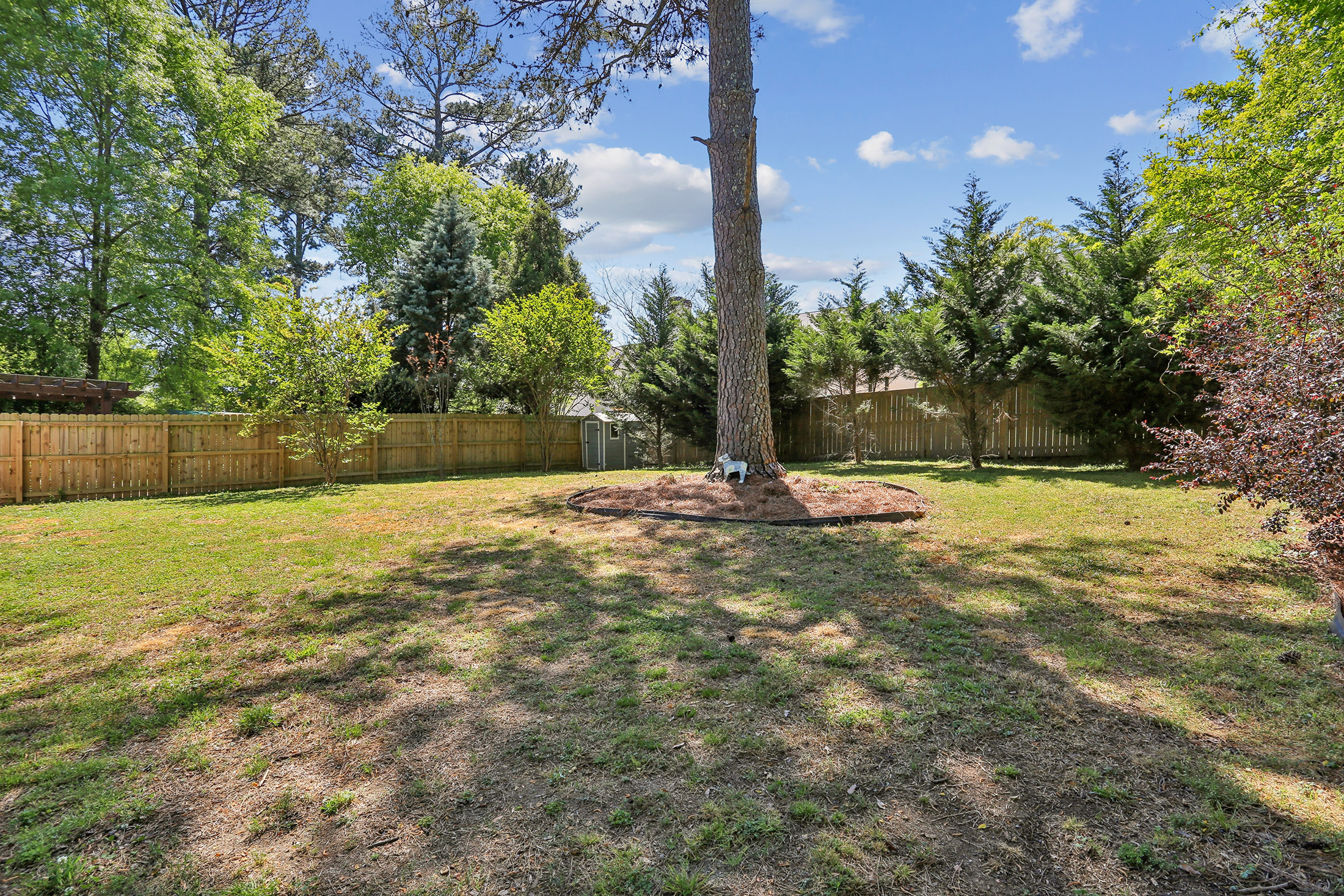  Charming Four Bedroom Home in Desirable Ashford Park - 物件實景