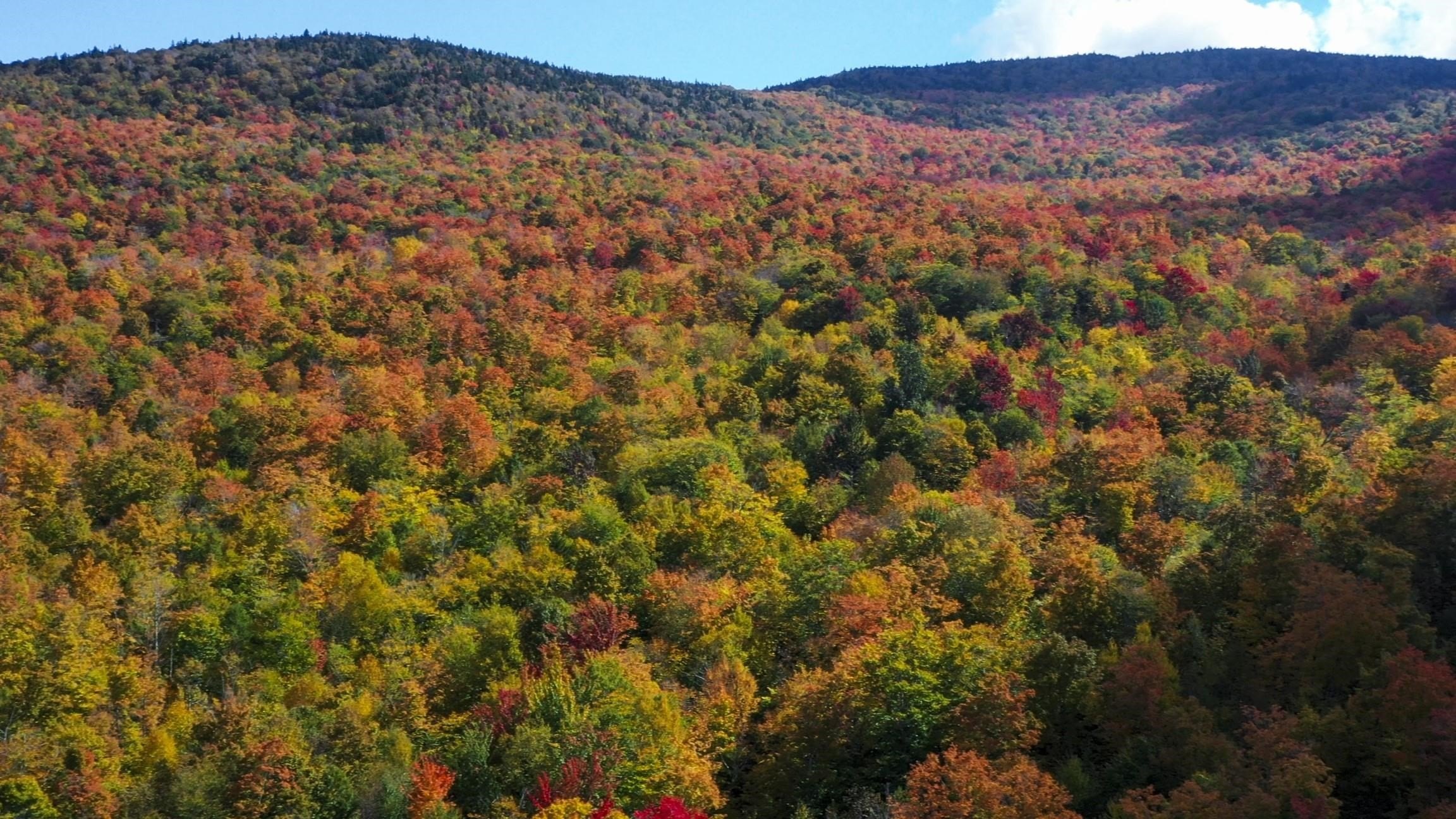 Jay, Vermont, 05859, United States, ,Land,For Sale,1999221