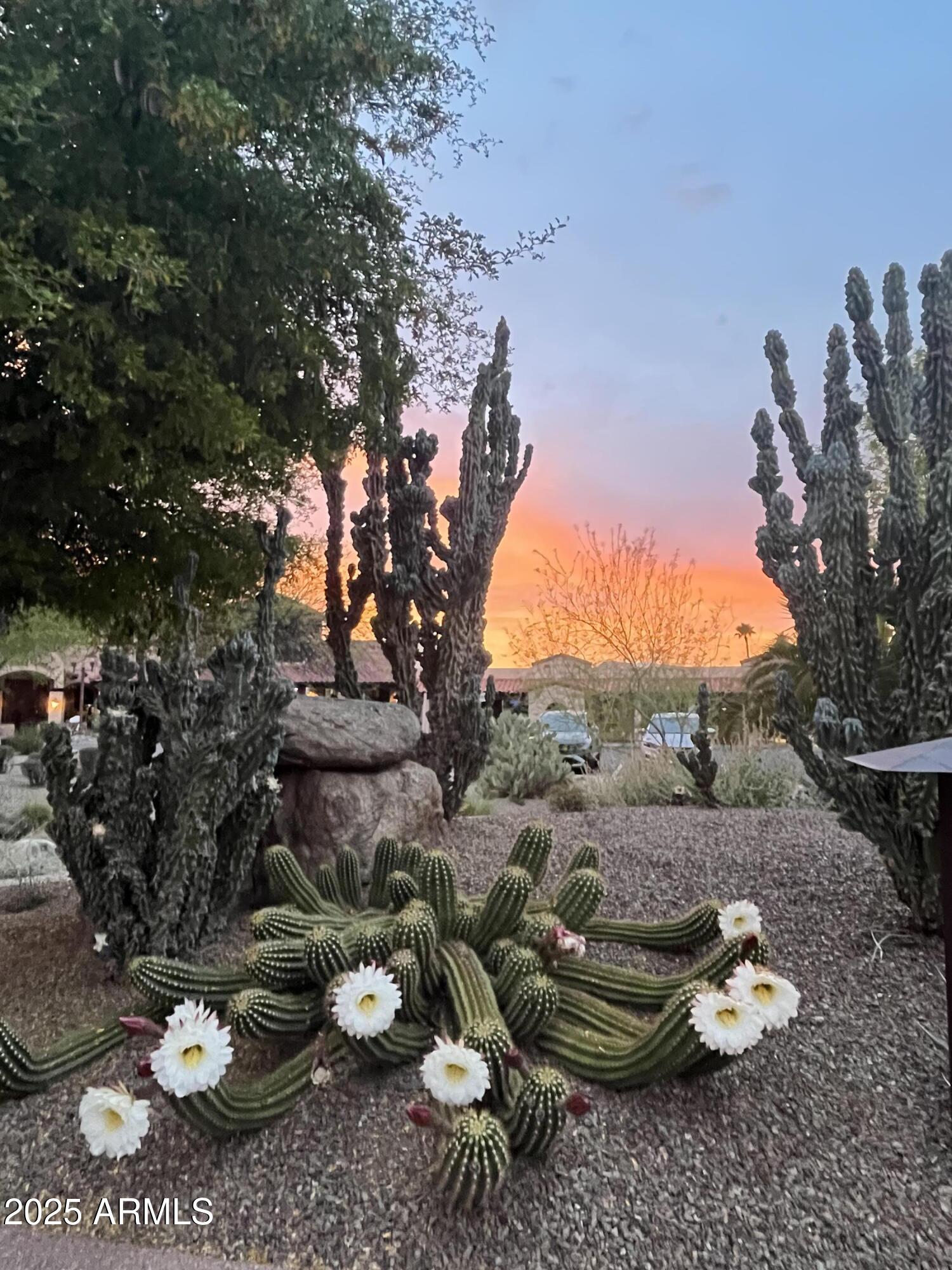 Carefree, Arizona, 85377, United States, 3 Bedrooms Bedrooms, ,3 BathroomsBathrooms,Residential,For Sale,1989596