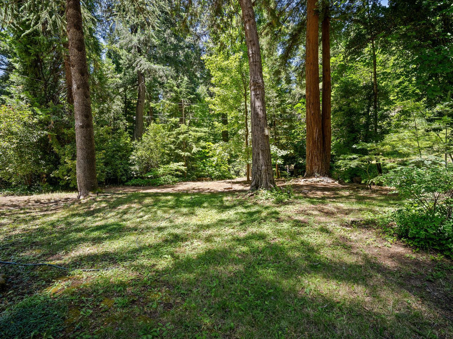 Placerville, California, 95667, United States, 4 Bedrooms Bedrooms, ,4 BathroomsBathrooms,Residential,For Sale,1881790