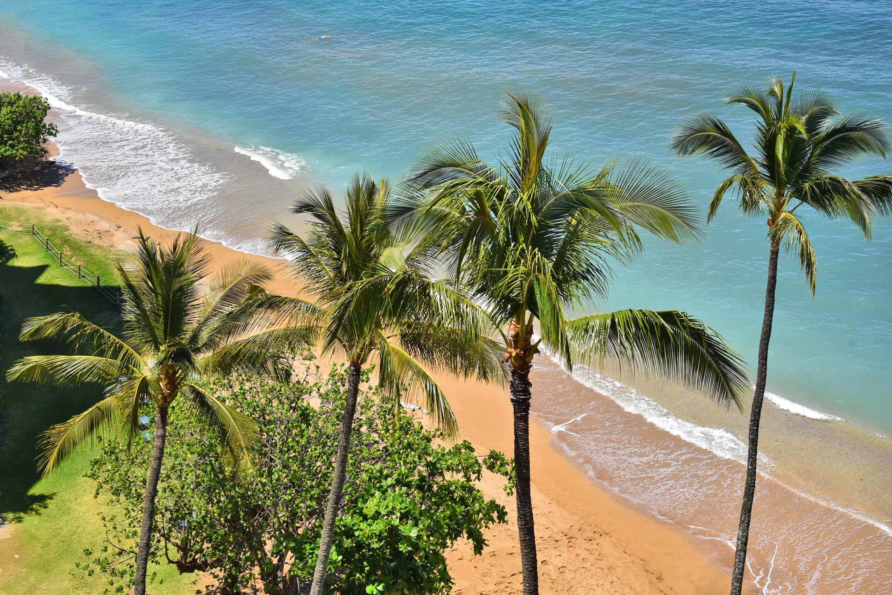 Lahaina, Hawaii, 96761, United States, 2 Bedrooms Bedrooms, ,2 BathroomsBathrooms,Residential,For Sale,1828104