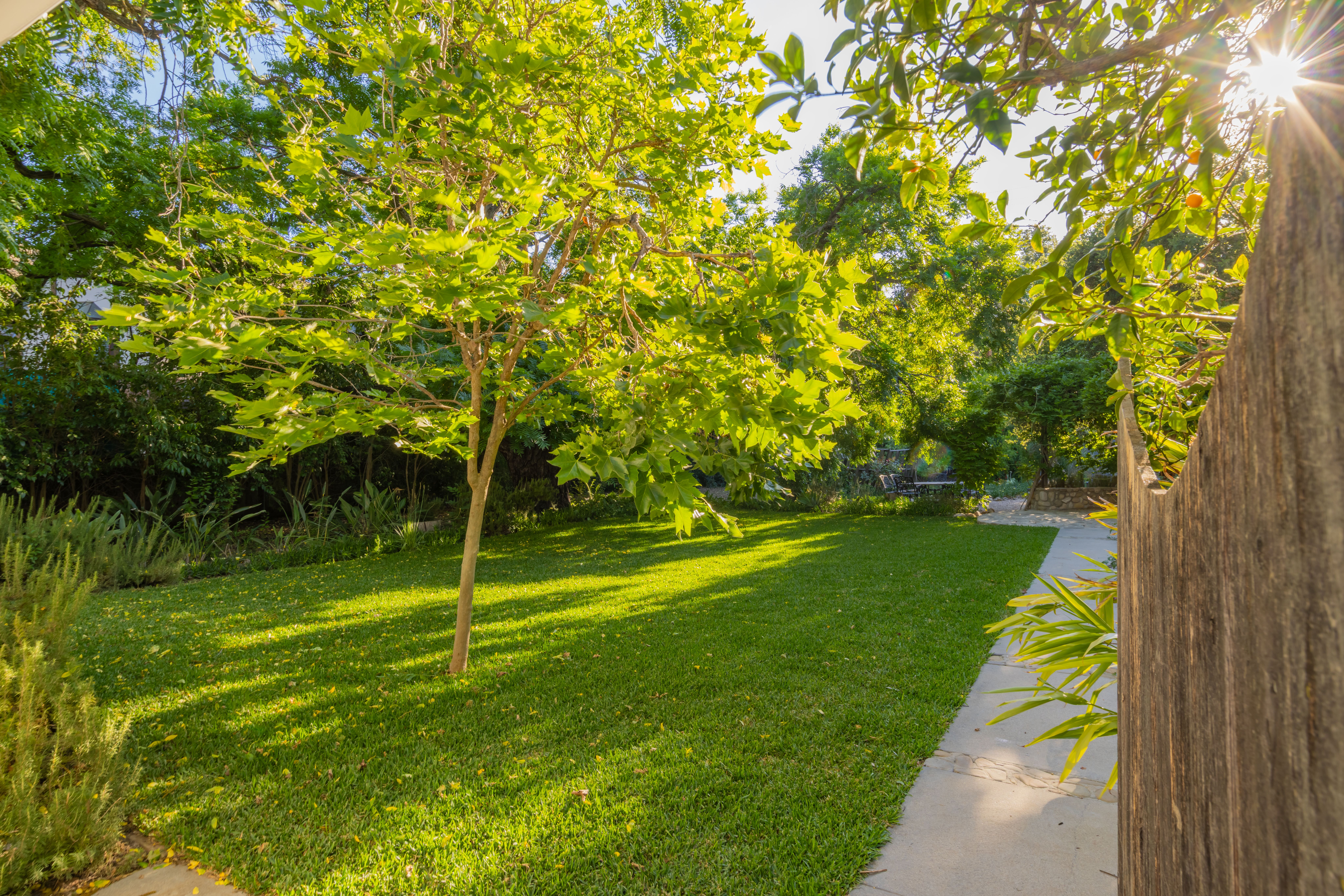  1450 Grand Avenue, Ojai, CA 93023 - 物件實景