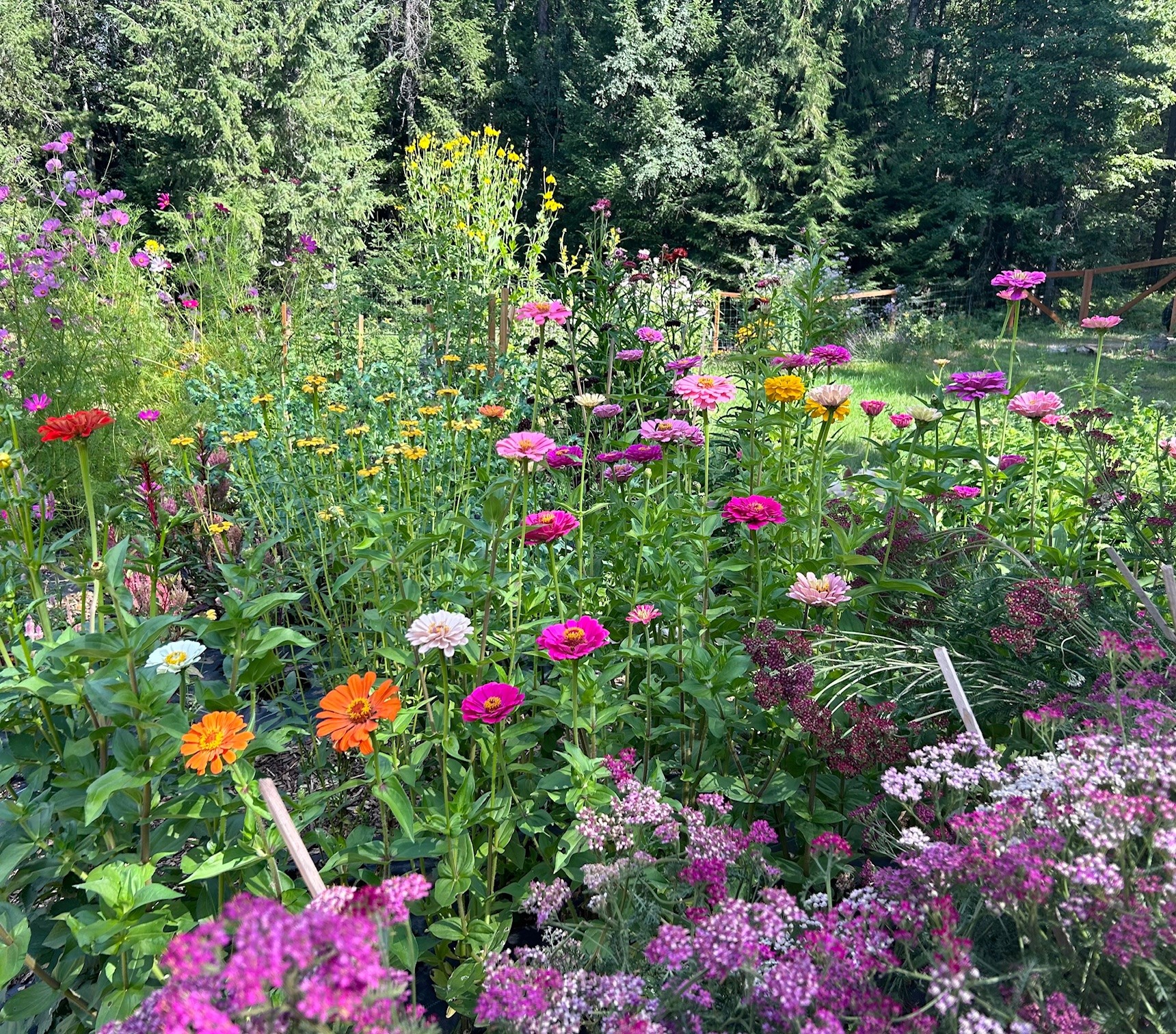 Sandpoint, Idaho, 83864, United States, 2 Bedrooms Bedrooms, ,2 BathroomsBathrooms,Residential,For Sale,2006058