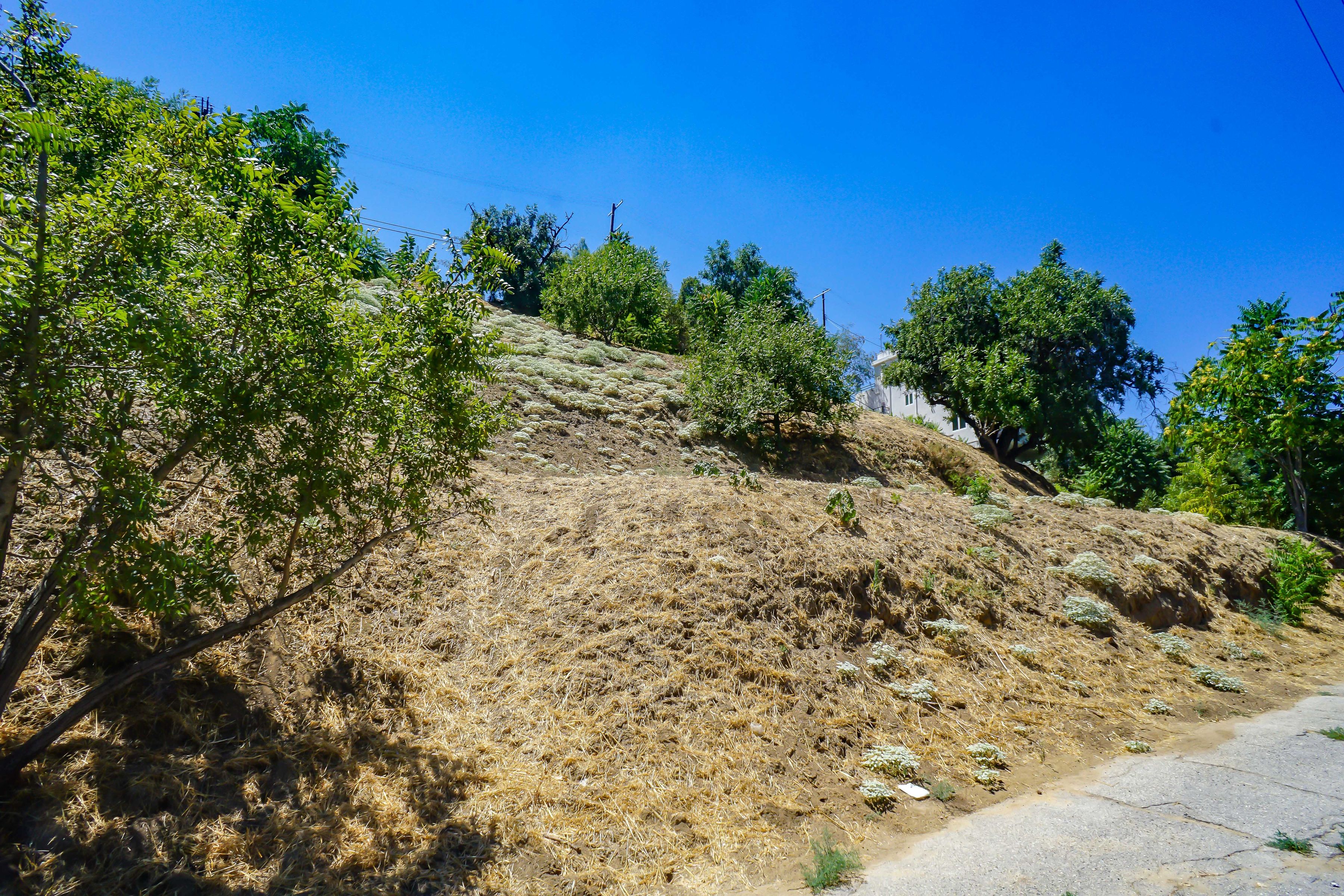  452 West Beech Street - 物件實景