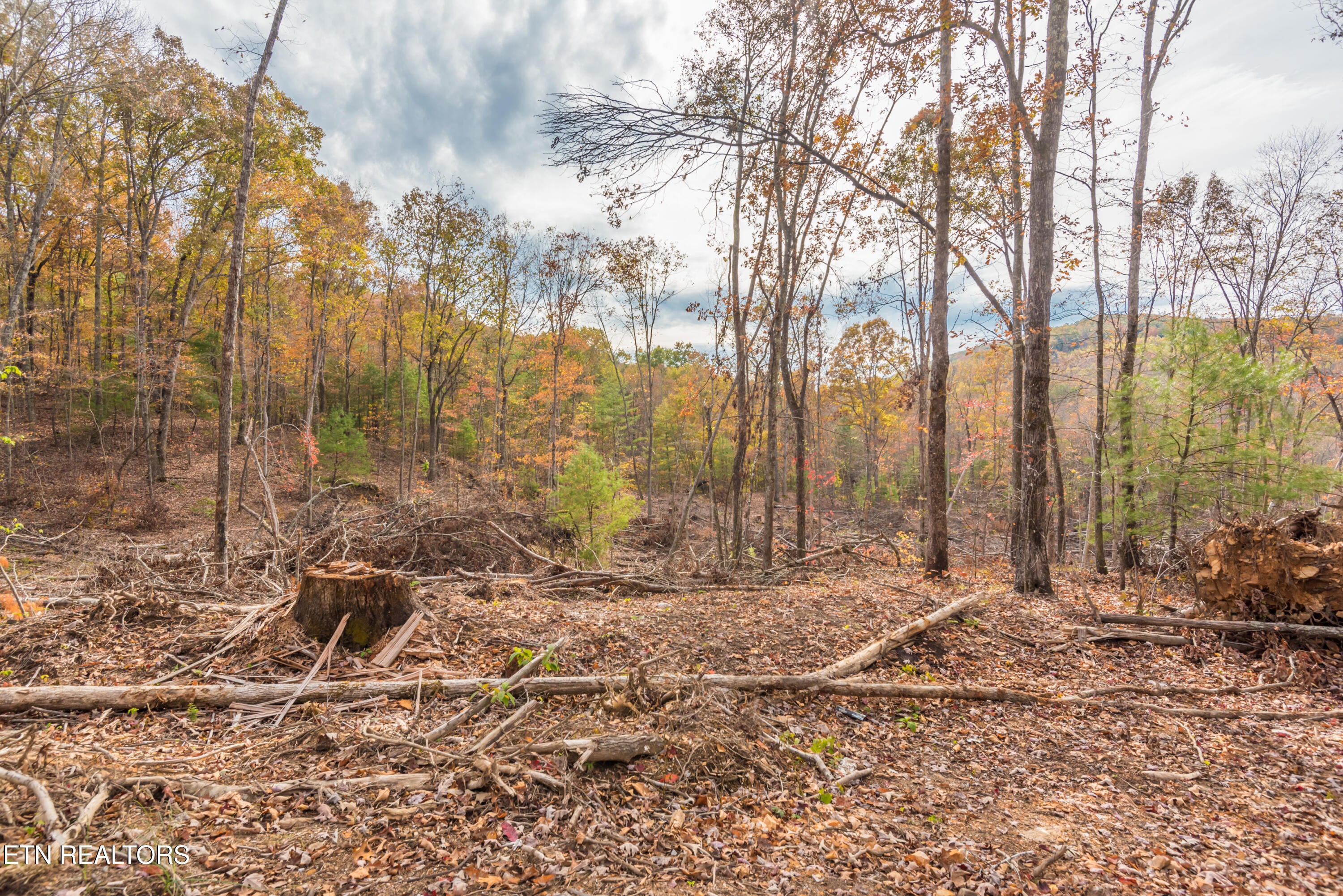 Rockwood, Tennessee, 37854, United States, ,Land,For Sale,1806468