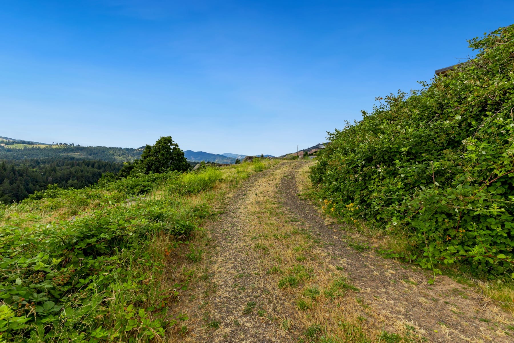 0 Sterling BLVD #Lot 3 White Salmon, WA 98672 - 物件實景