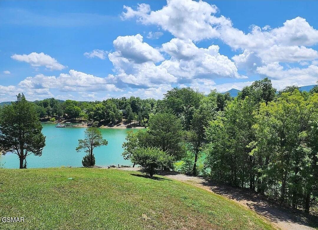 Dandridge, Tennessee, 37725, United States, 3 Bedrooms Bedrooms, ,2 BathroomsBathrooms,Residential,For Sale,1937752