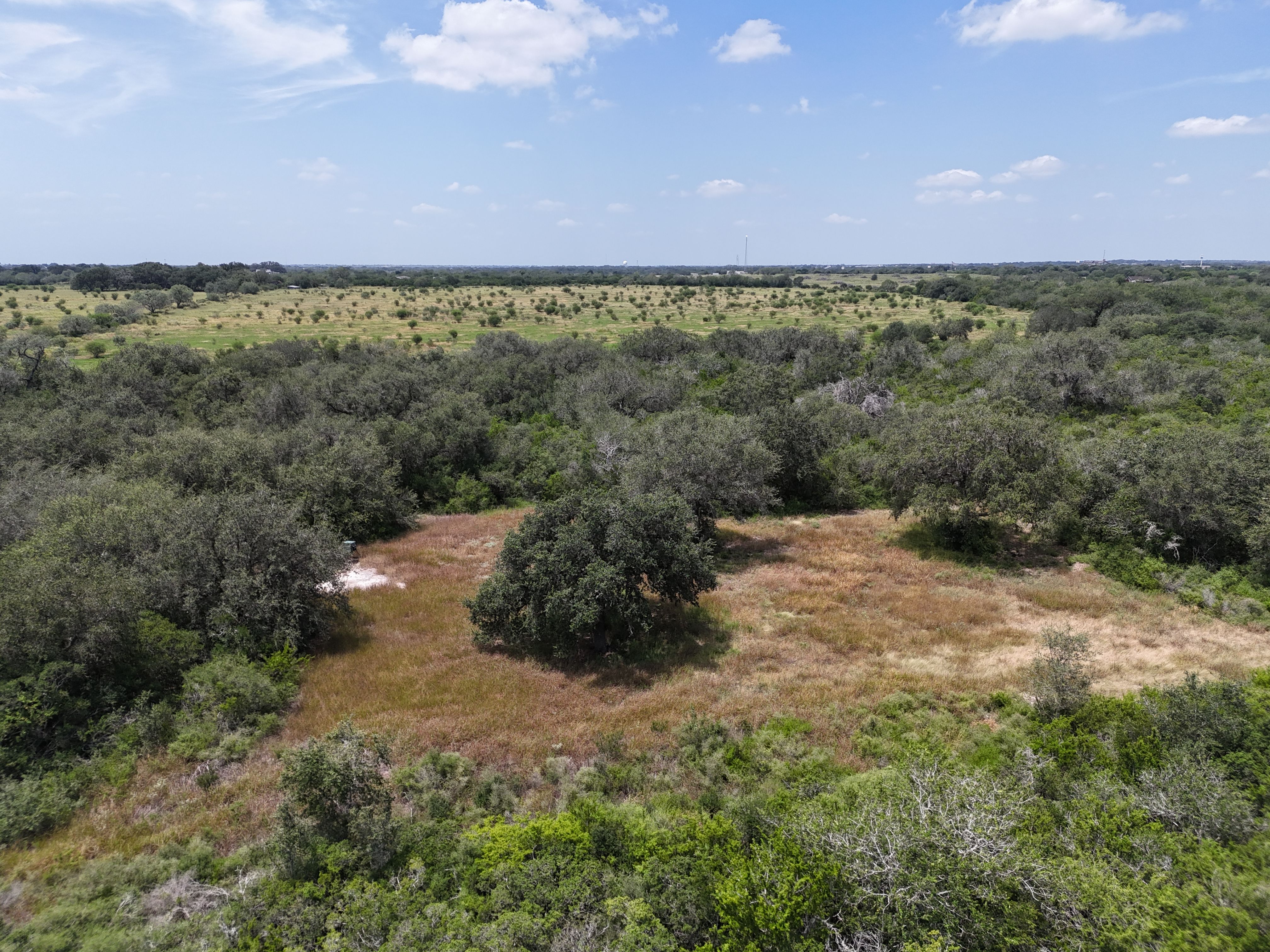  Old Houston Ranch, Bee County - 物件實景