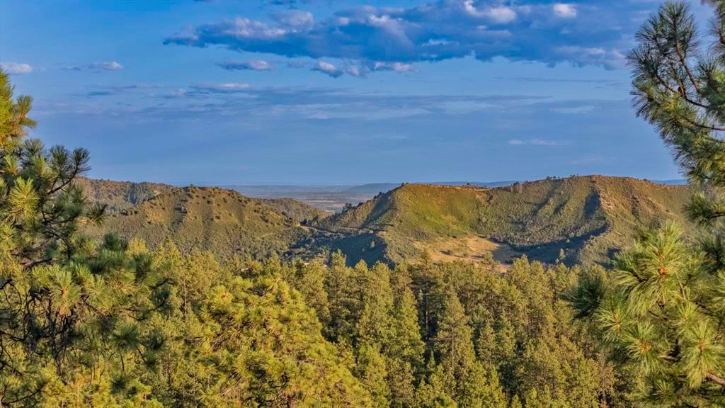 Durango, Colorado, 81301, United States, 4 Bedrooms Bedrooms, ,4 BathroomsBathrooms,Residential,For Sale,1938986