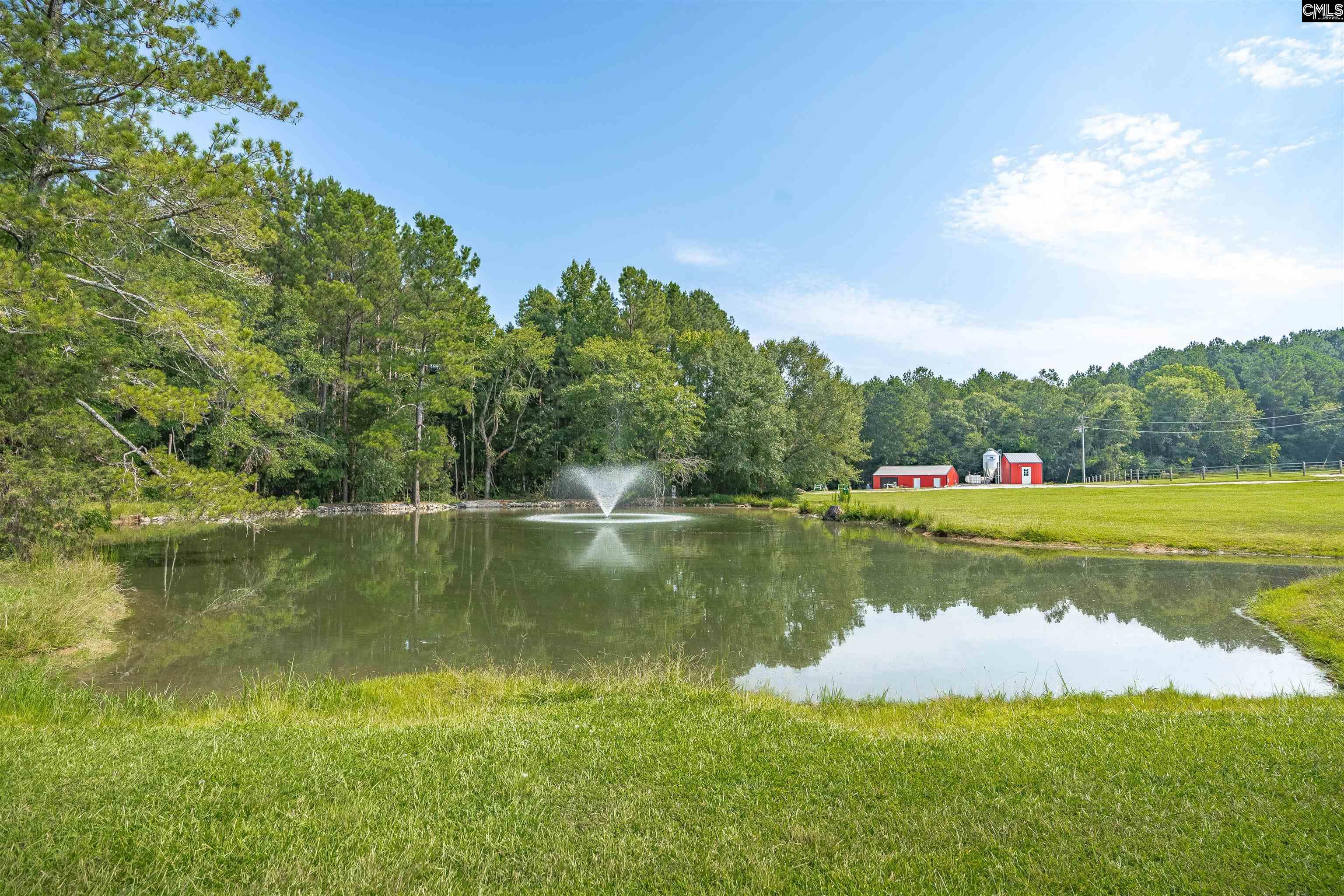 Newberry, South Carolina, 29108, United States, 3 Bedrooms Bedrooms, ,3 BathroomsBathrooms,Residential,For Sale,1987677