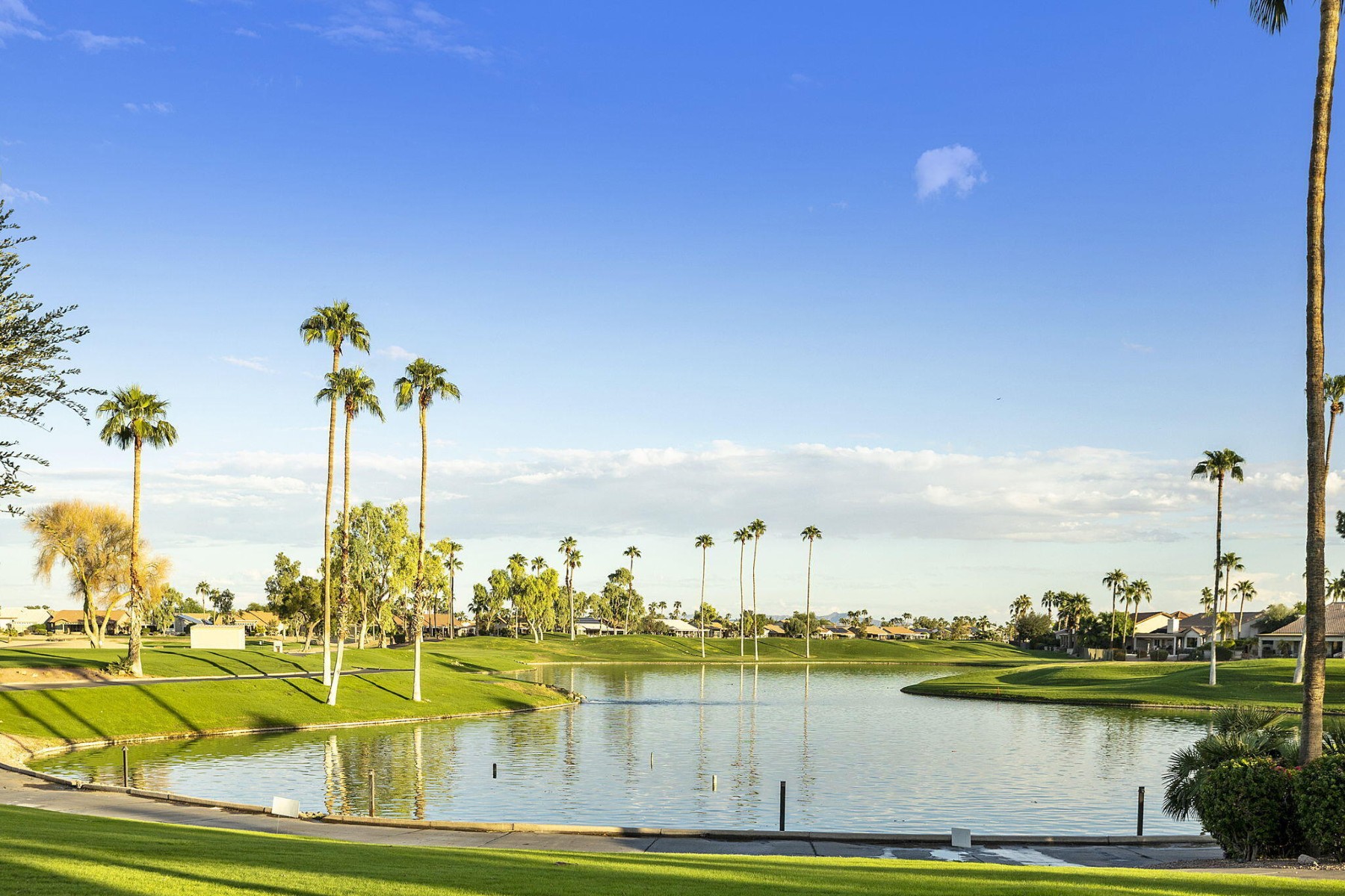  3365 N 153rd Drive¦Goodyear, AZ - 物件實景
