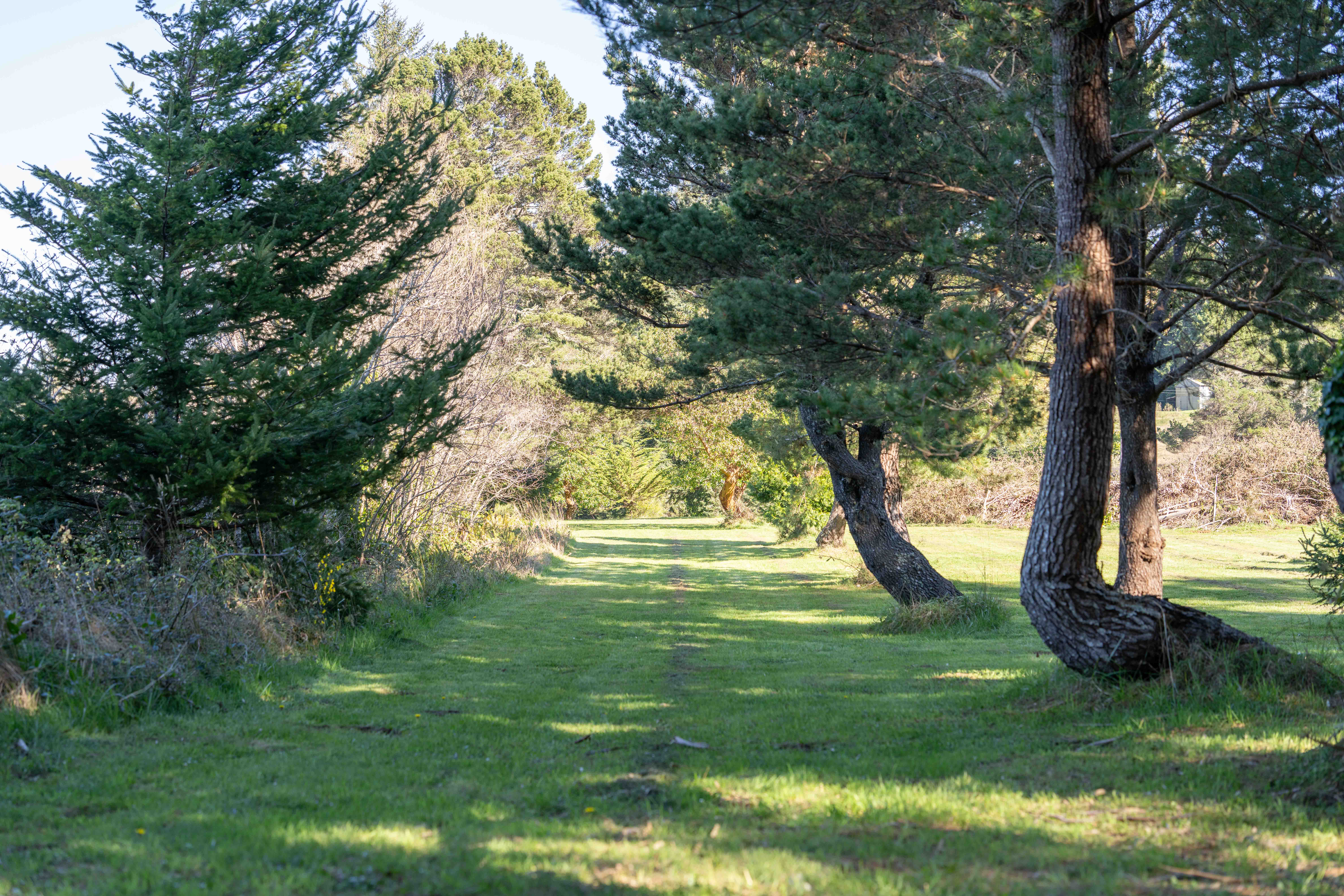  Coquille River Frontage - 物件實景