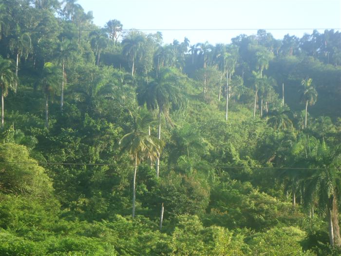 Sosua, DO, ,Land,For Sale,1907568