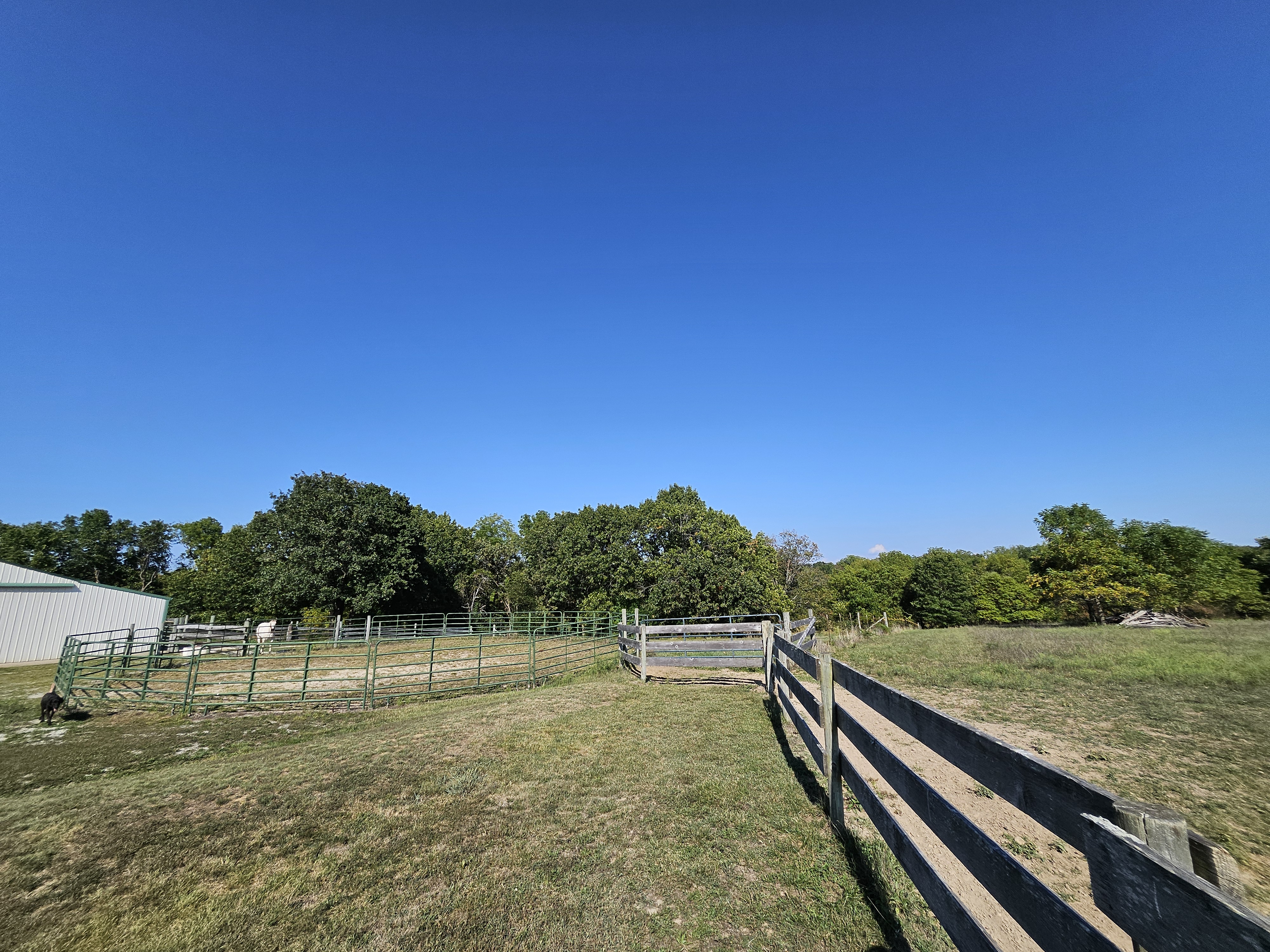 Aurora, Missouri, 65605, United States, 4 Bedrooms Bedrooms, ,2 BathroomsBathrooms,Residential,For Sale,1984470