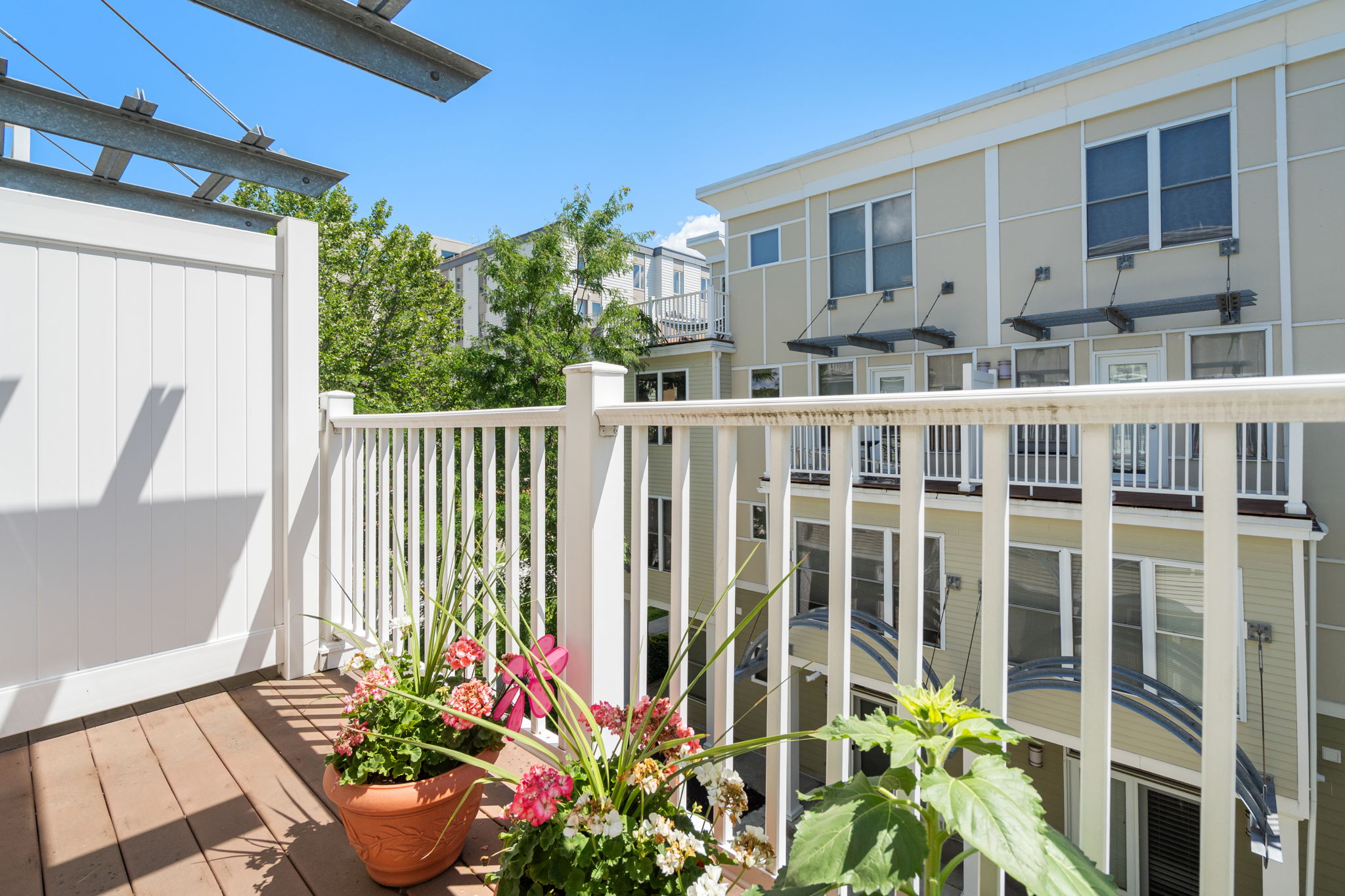  31 Wheeler Street, Cambridge, MA, 02138 - 物件實景