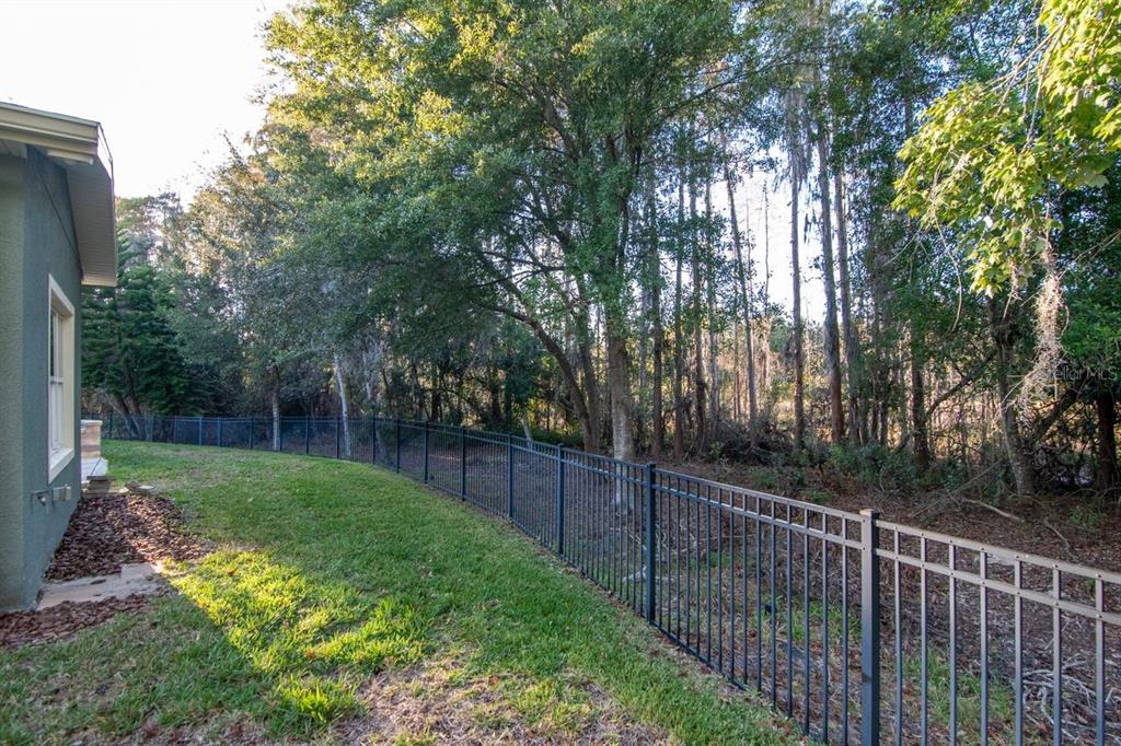 Land O Lakes, Florida, 34638, United States, 5 Bedrooms Bedrooms, ,4 BathroomsBathrooms,Residential,For Sale,2003047