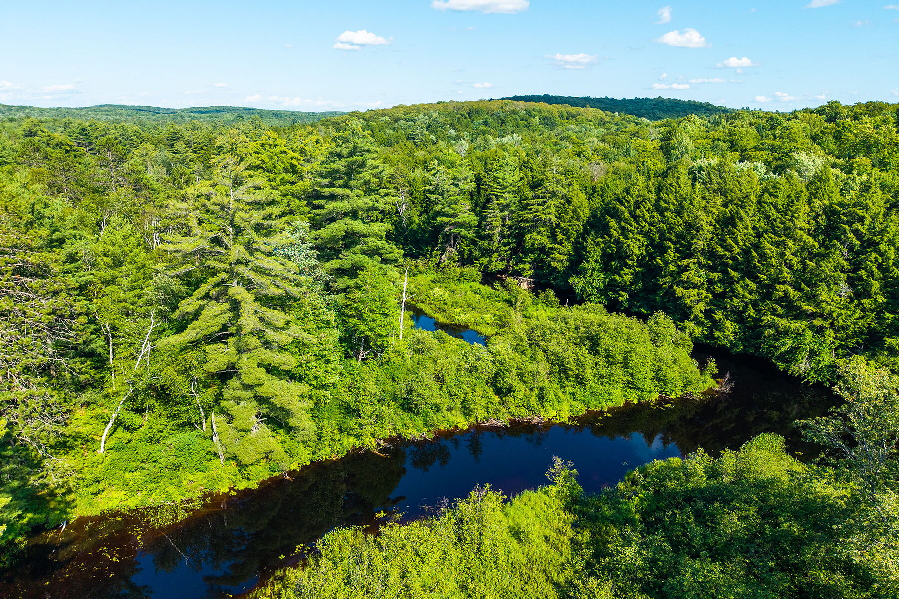  Buck River Huntsville - 物件實景