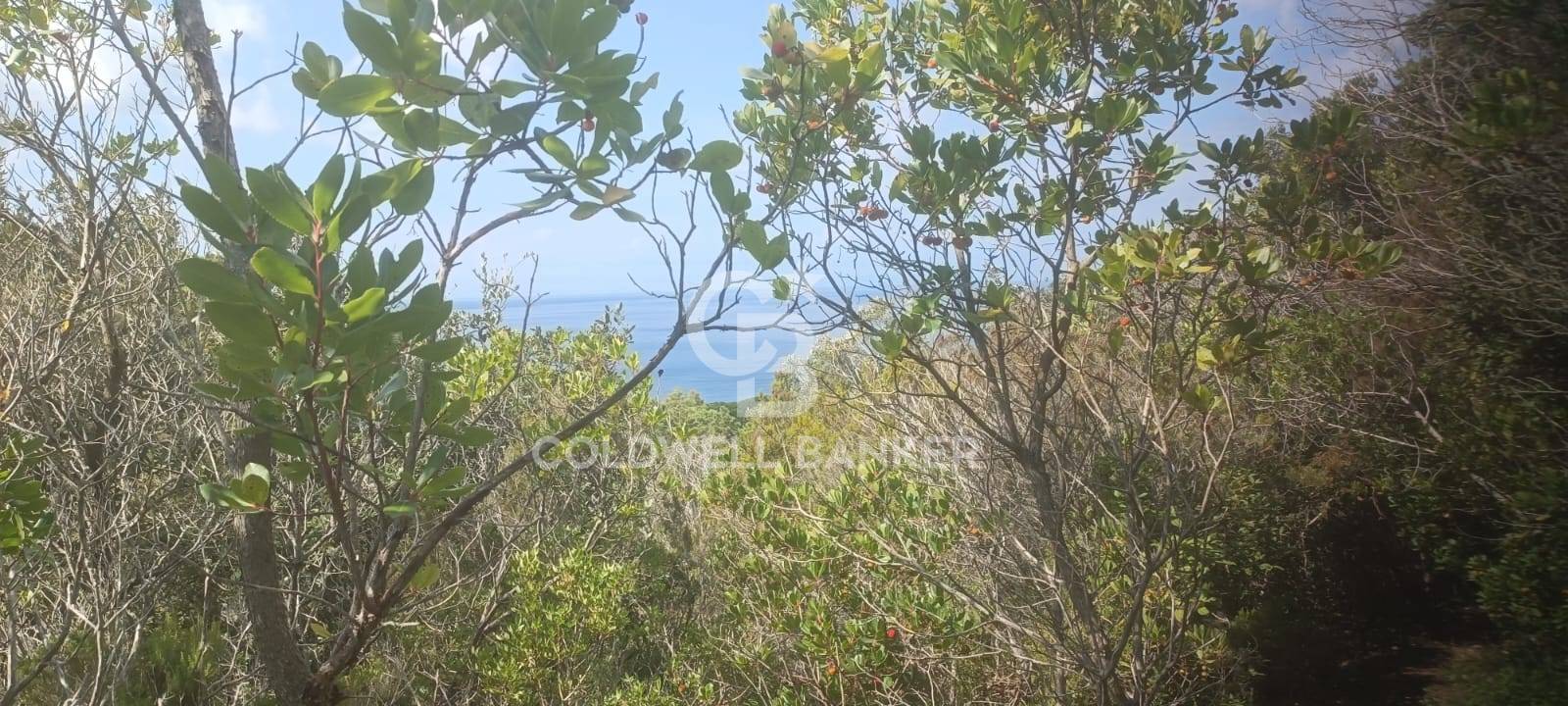 Portoferraio - Isola d'Elba, Livorno, 57037, IT, ,Residential,For Sale,1745102