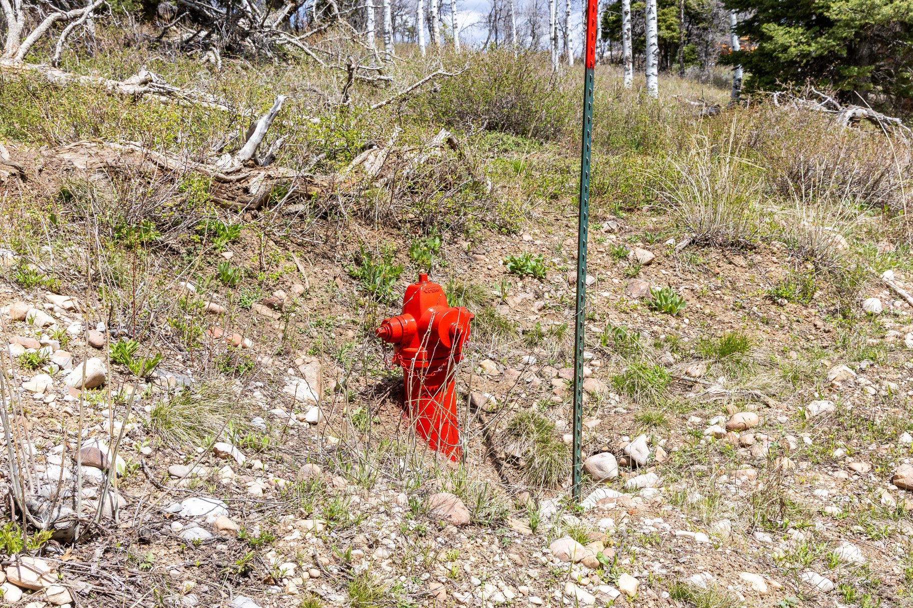  Exceptional Build Opportunity in a Quiet Canyon Bordering Park City - 物件實景