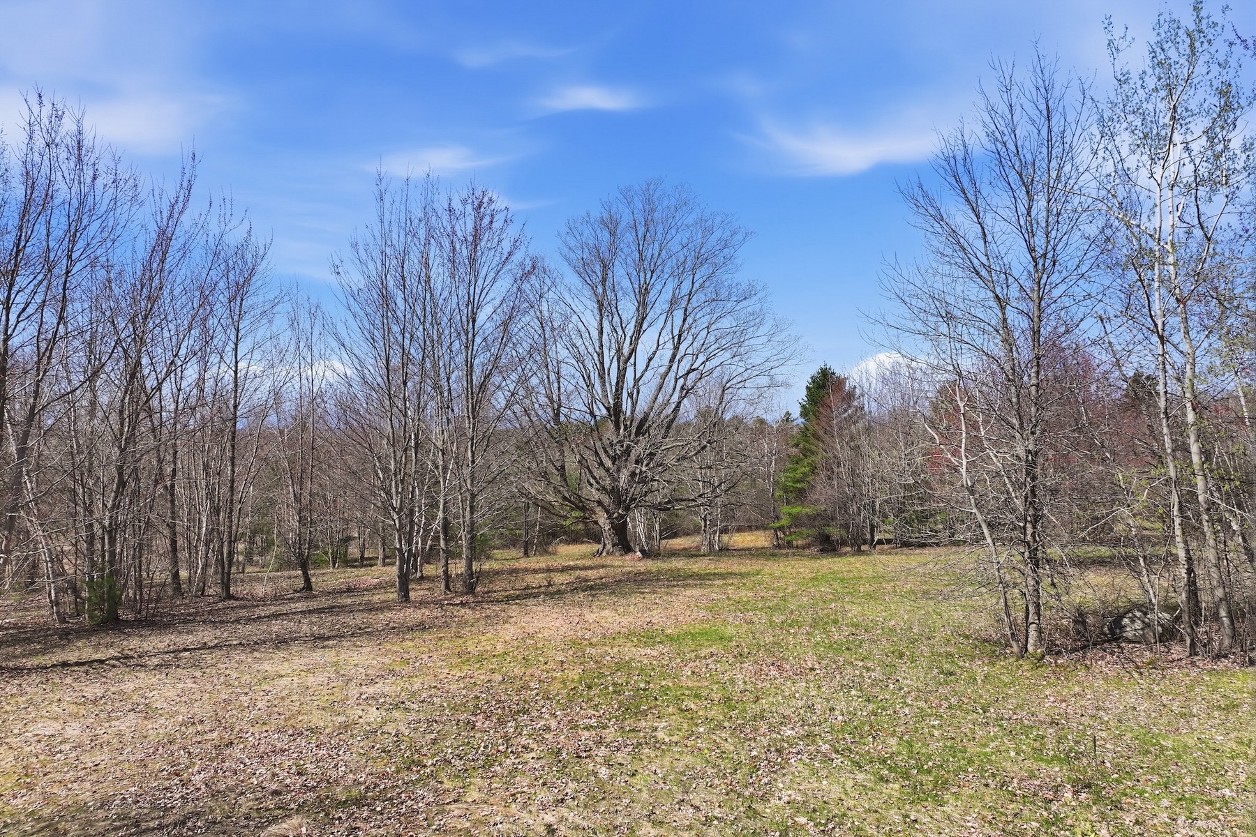  351 Ledgewood Drive - 物件實景