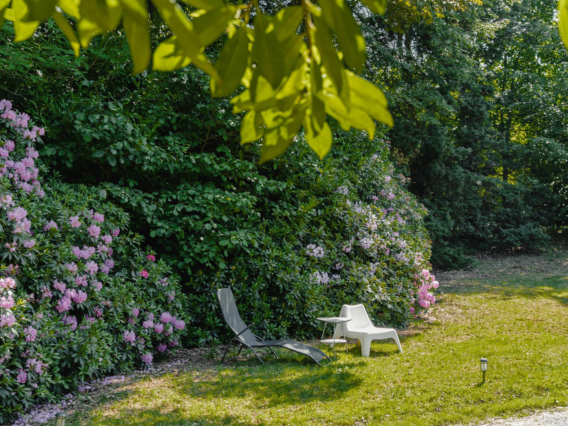  Uccle I Prince d