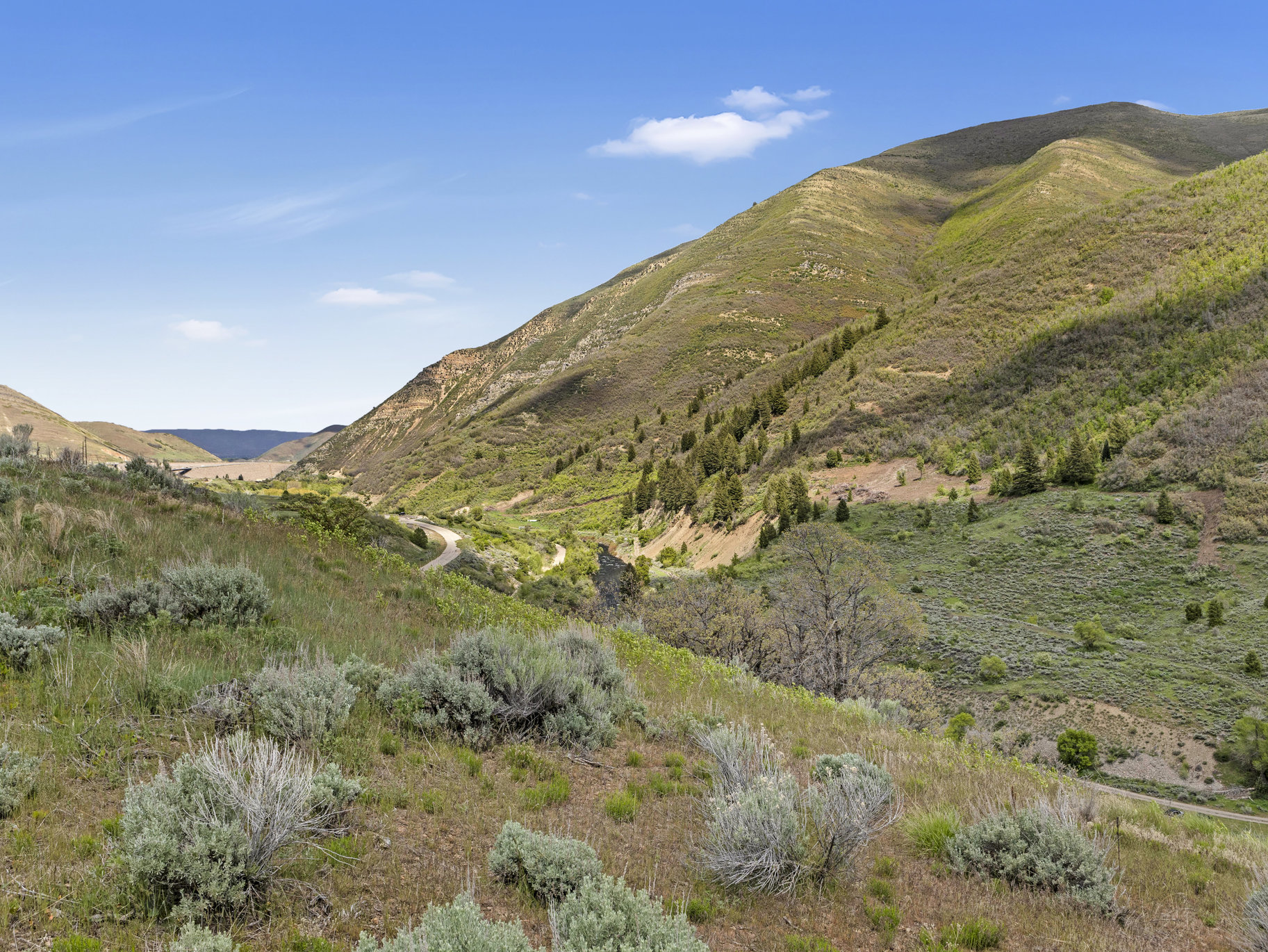  5.4 Acres In Provo Canyon With Easement To River - 物件實景