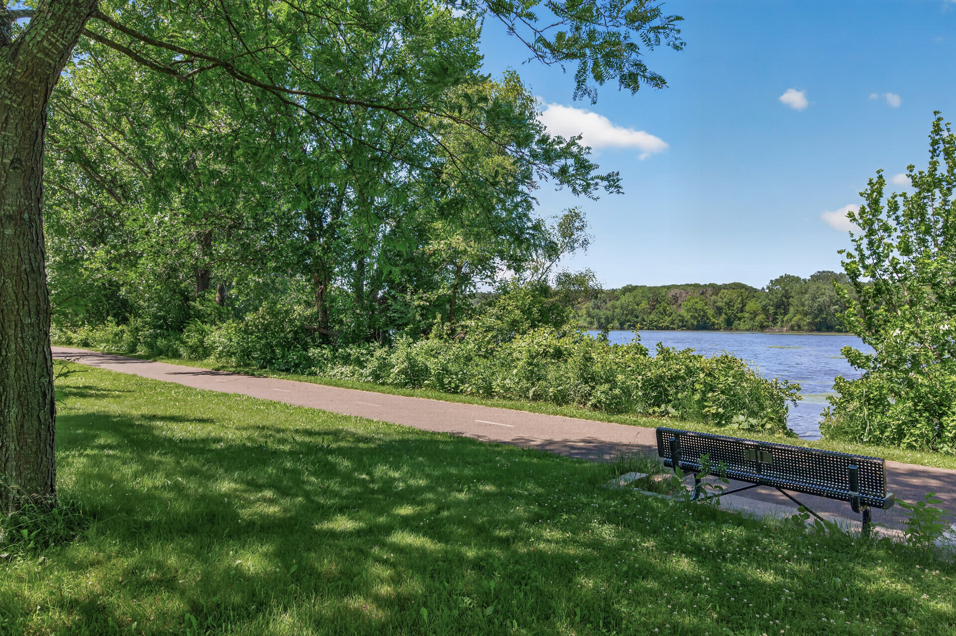  Luxury Lakeside Retreat in the Heart of Woodbury - 物件實景
