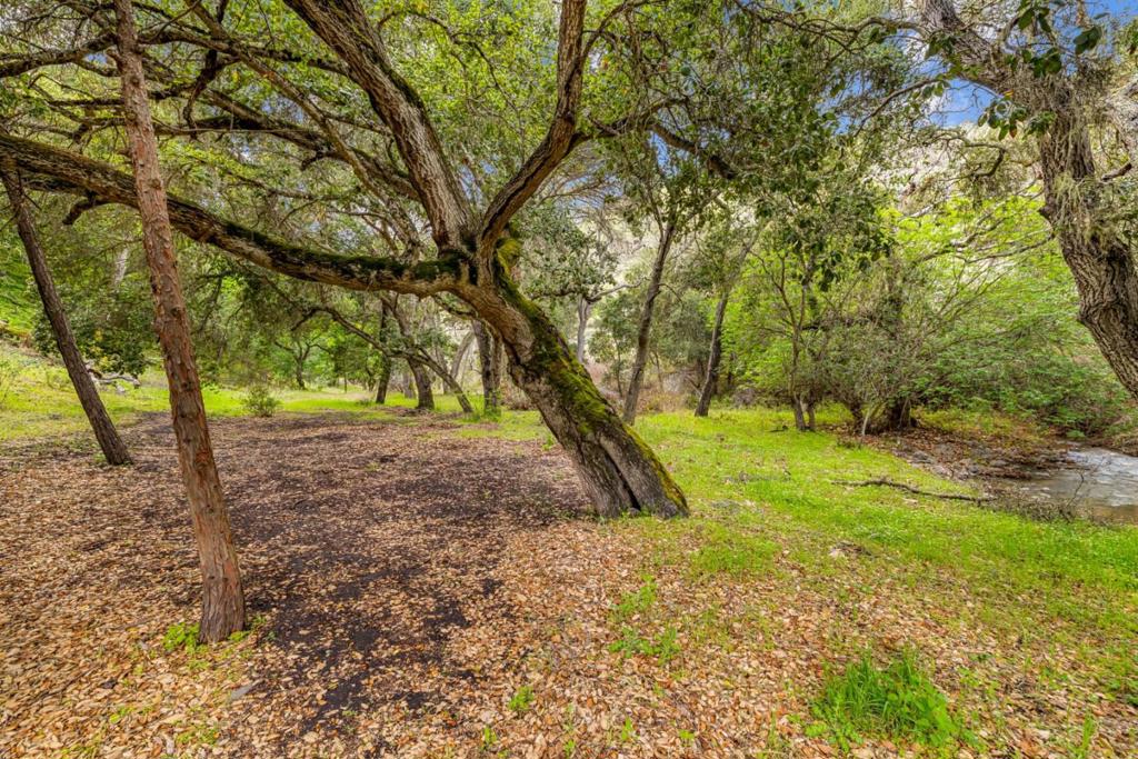 Salinas, California, 93908, United States, ,Residential,For Sale,1974881