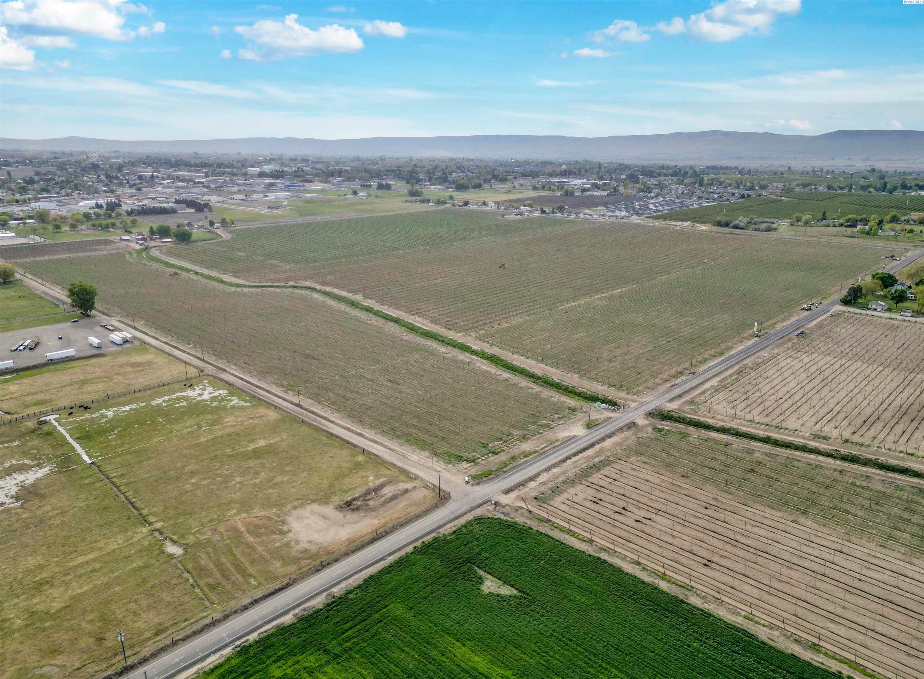 Grandview, Washington, 98930, United States, ,Land,For Sale,1976550