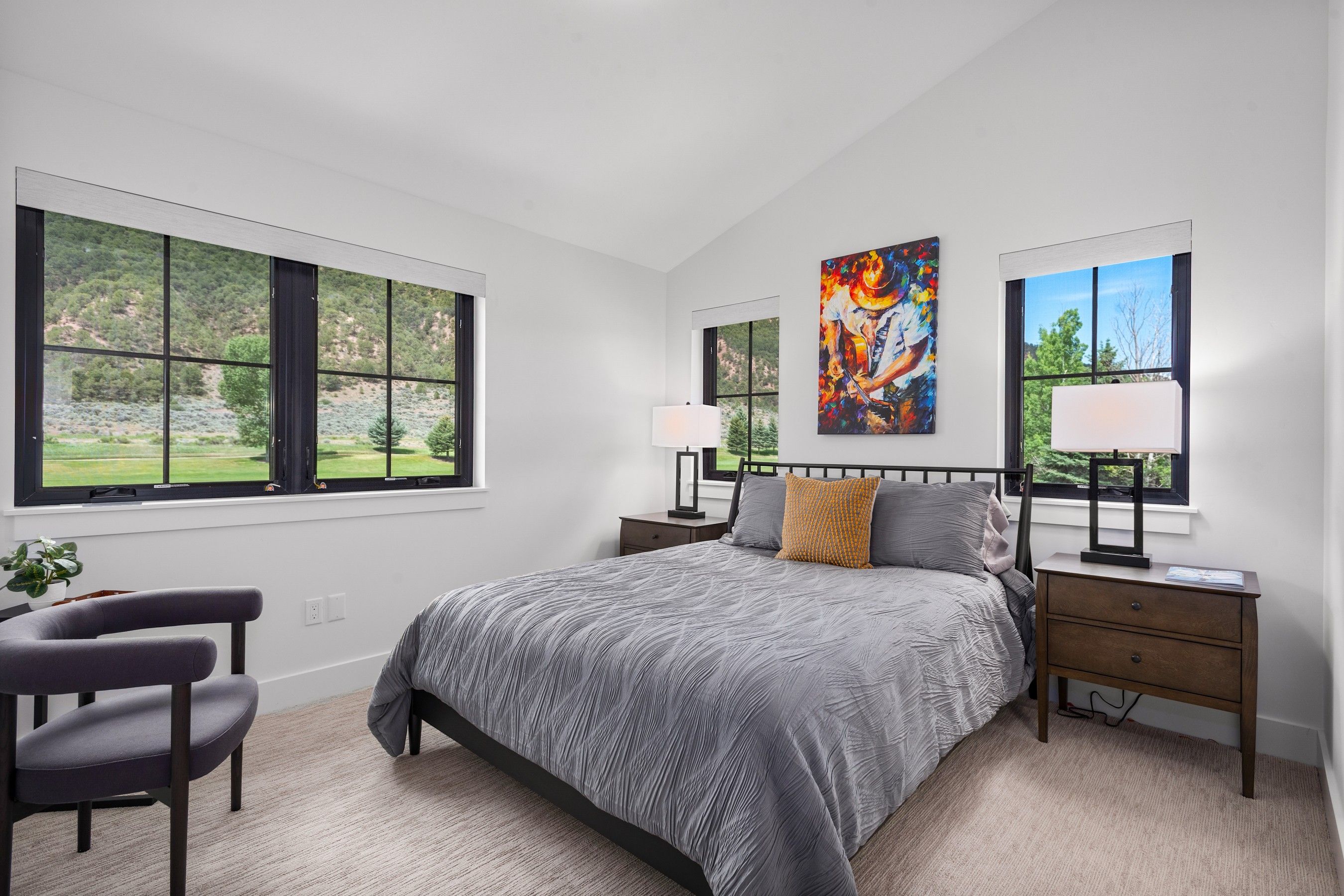  303 Golden Bear Drive, Carbondale, CO 81623 - 物件實景