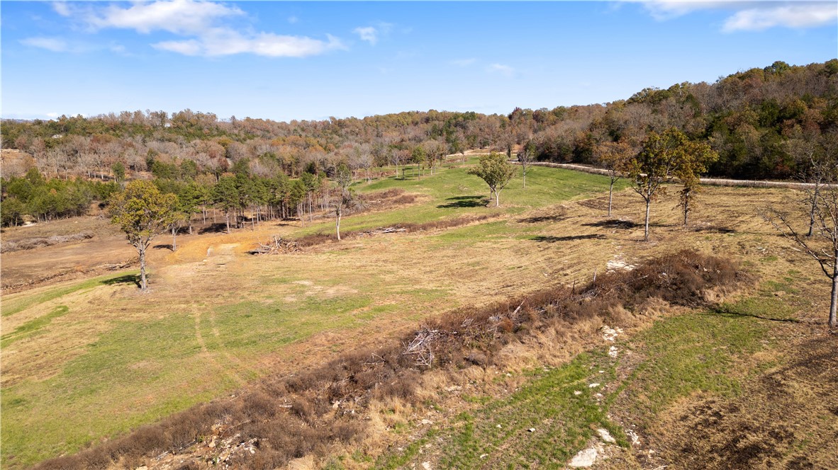 Yellville, Arkansas, 72687, United States, ,Land,For Sale,1903439