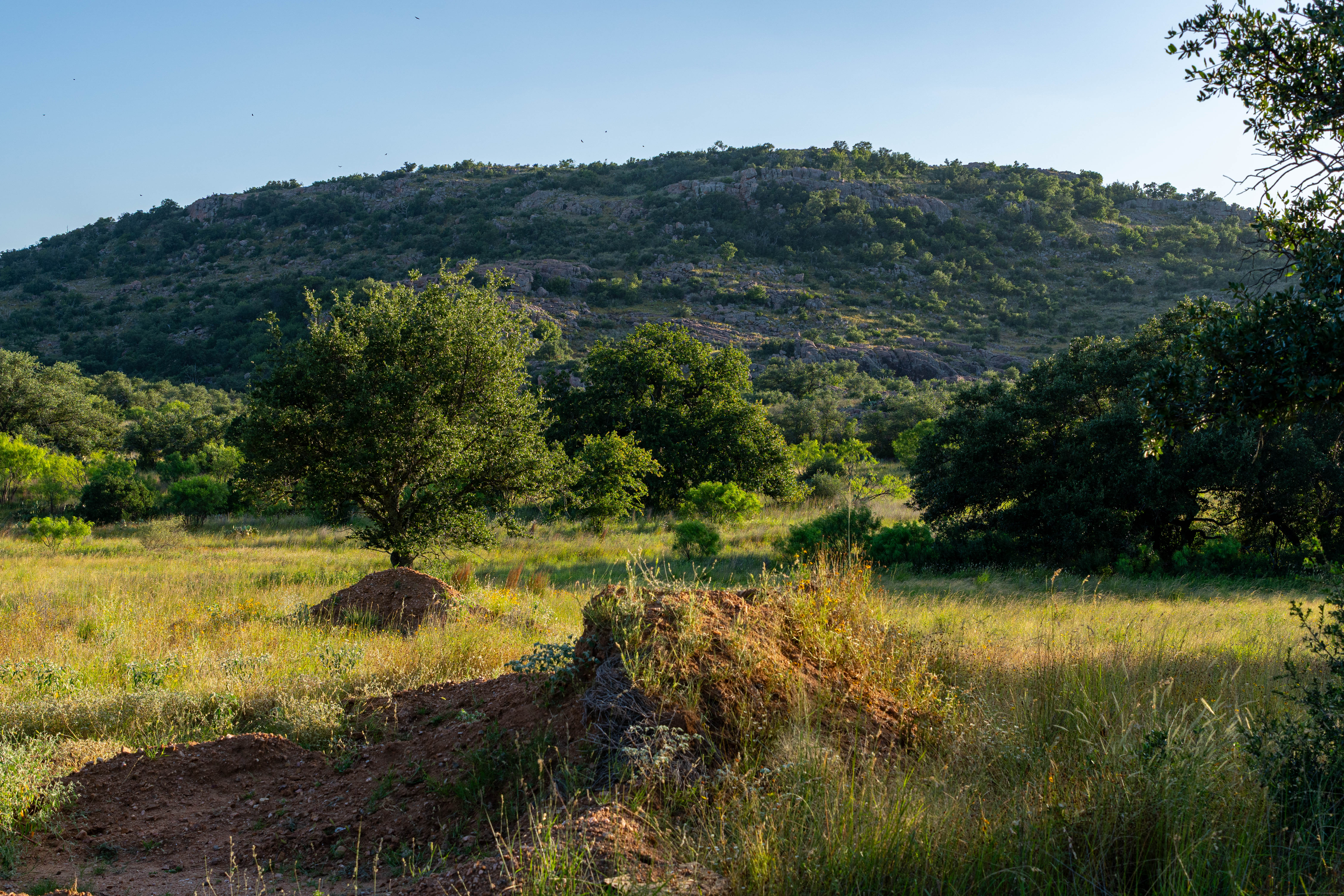  SmithCo Mountain Ranch - 物件實景