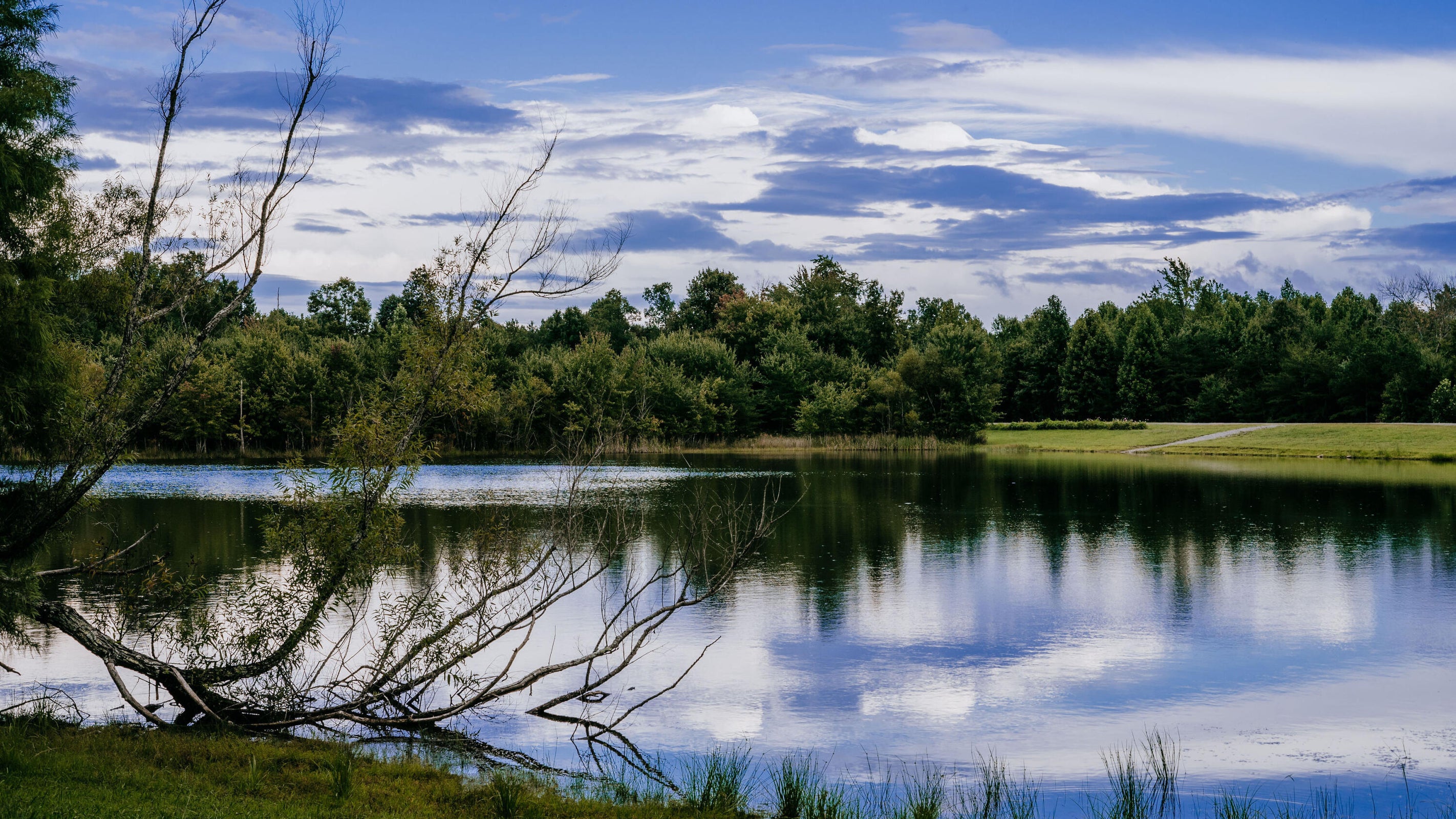 Dunlap, Tennessee, 37327, United States, 4 Bedrooms Bedrooms, ,3 BathroomsBathrooms,Residential,For Sale,1974830