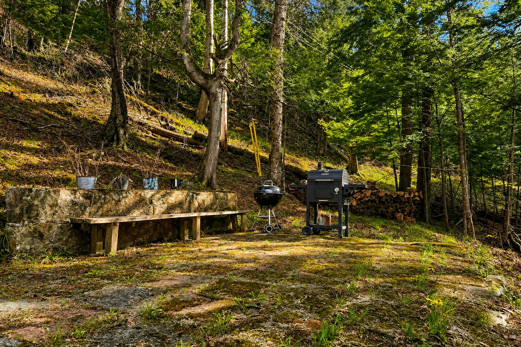  Barkmere, Laurentides - 物件實景