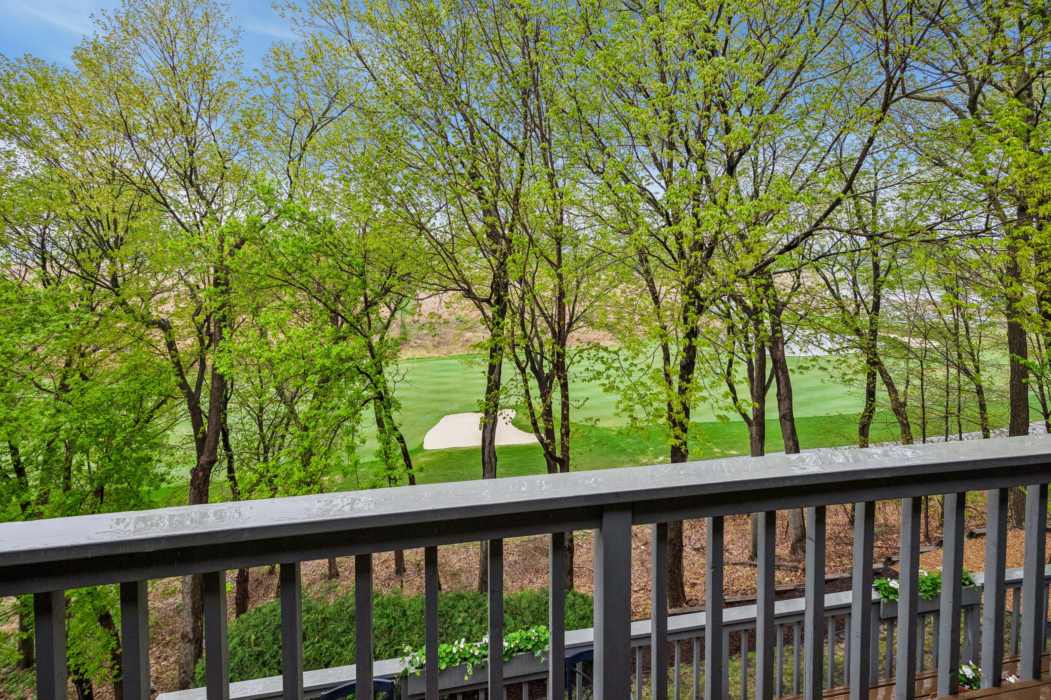  Sophisticated Mt. Curve Retreat with Scenic Fairway Views - 物件實景