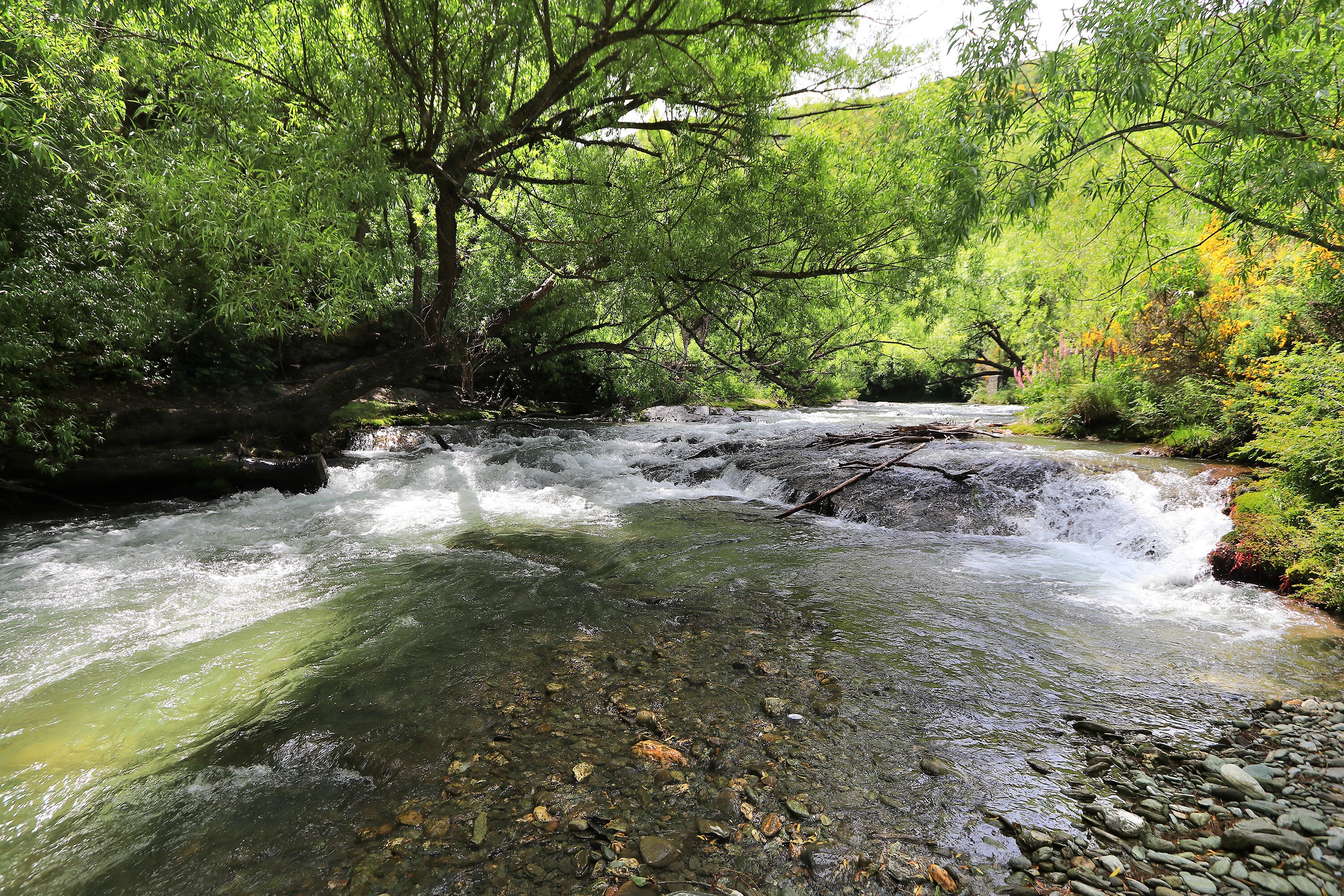  Premium Position, Five Minutes From Arrowtown - 物件實景