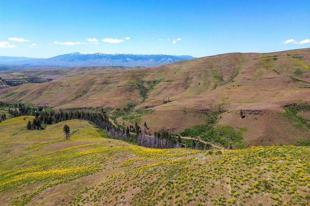 Council, Idaho, 83612, United States, ,Residential,For Sale,1935833