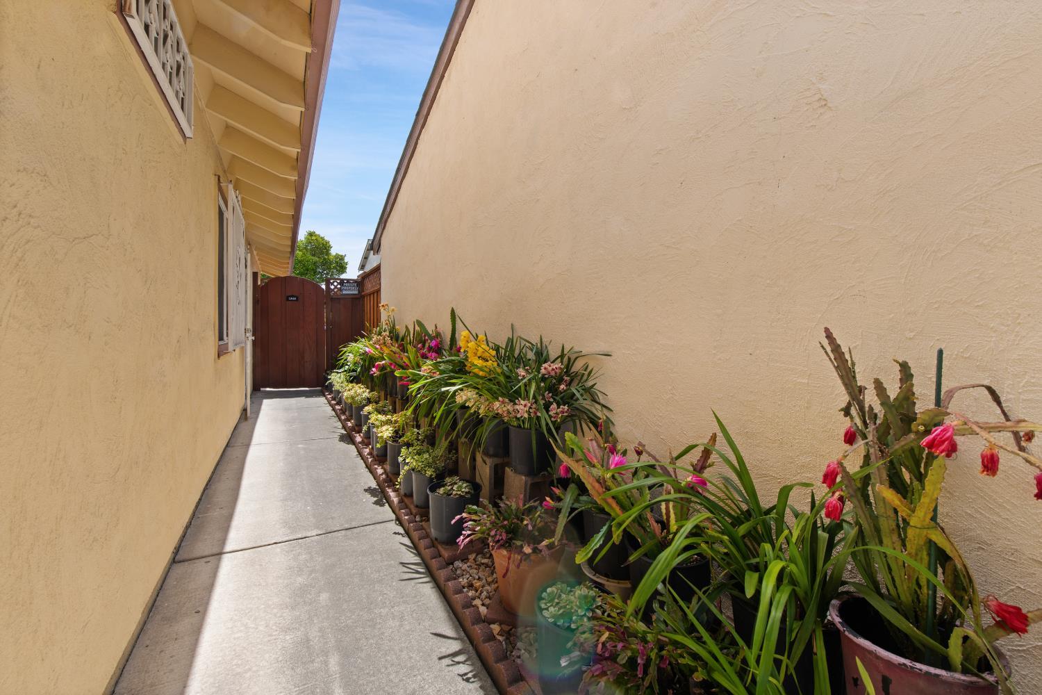 San Jose, California, 95116, United States, 4 Bedrooms Bedrooms, ,3 BathroomsBathrooms,Residential,For Sale,2038368