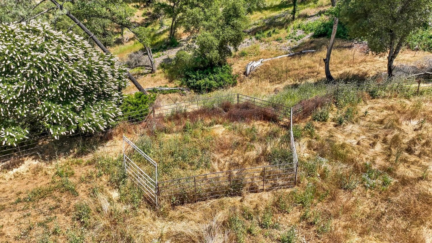 Mokelumne Hill, California, 95245, United States, 4 Bedrooms Bedrooms, ,3 BathroomsBathrooms,Residential,For Sale,1844920