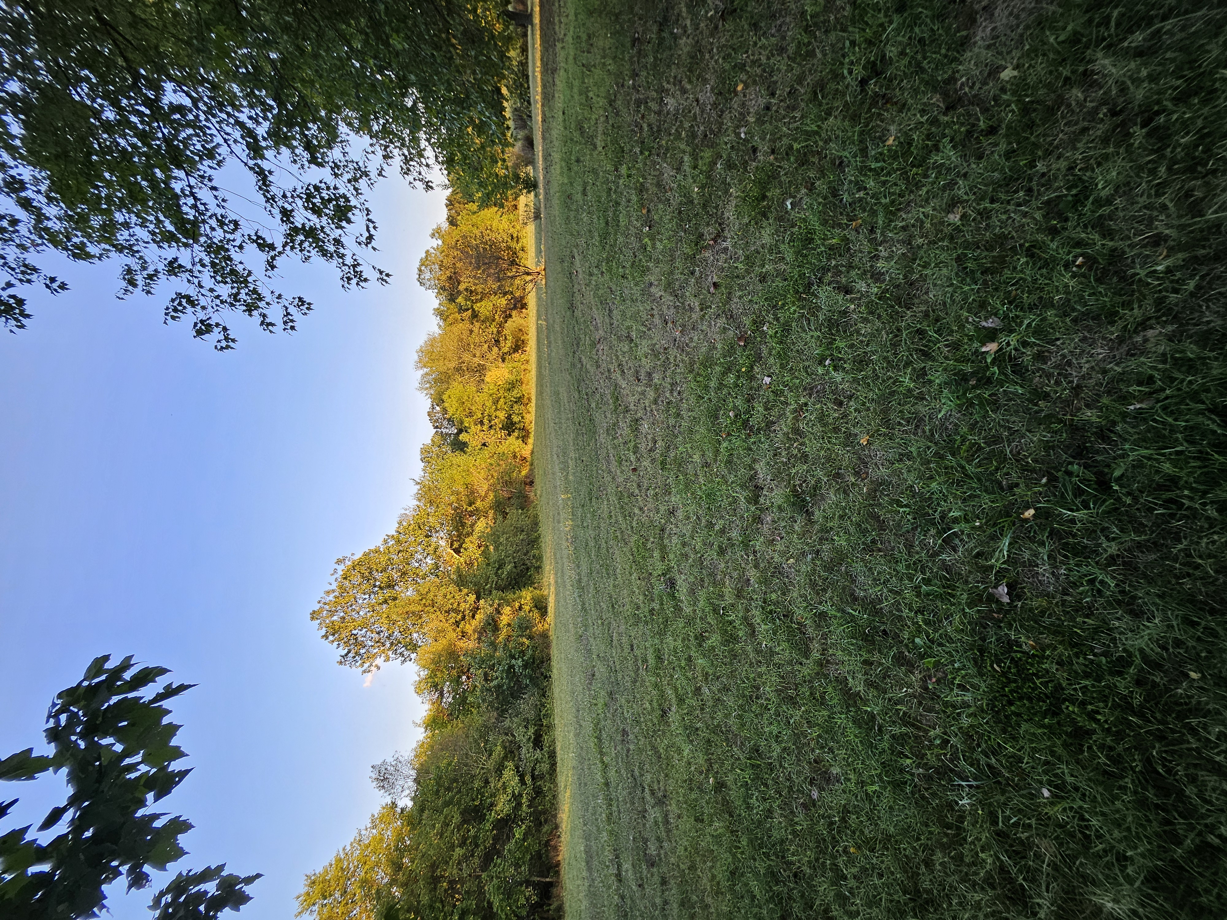 Pierce City, Missouri, 65723, United States, 5 Bedrooms Bedrooms, ,3 BathroomsBathrooms,Residential,For Sale,1975319