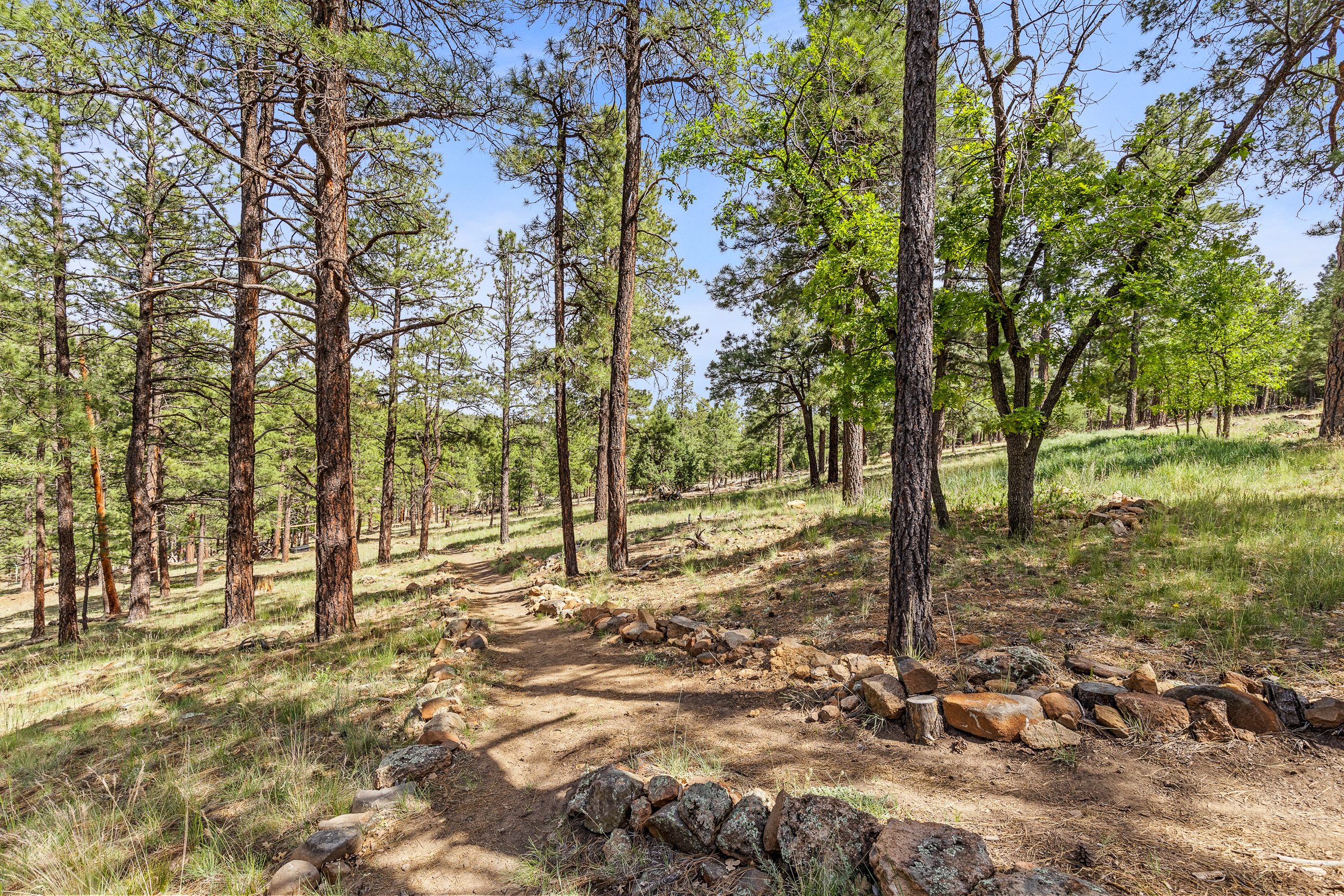  1392 Bouteloua Bend  Flagstaff, AZ - 物件實景