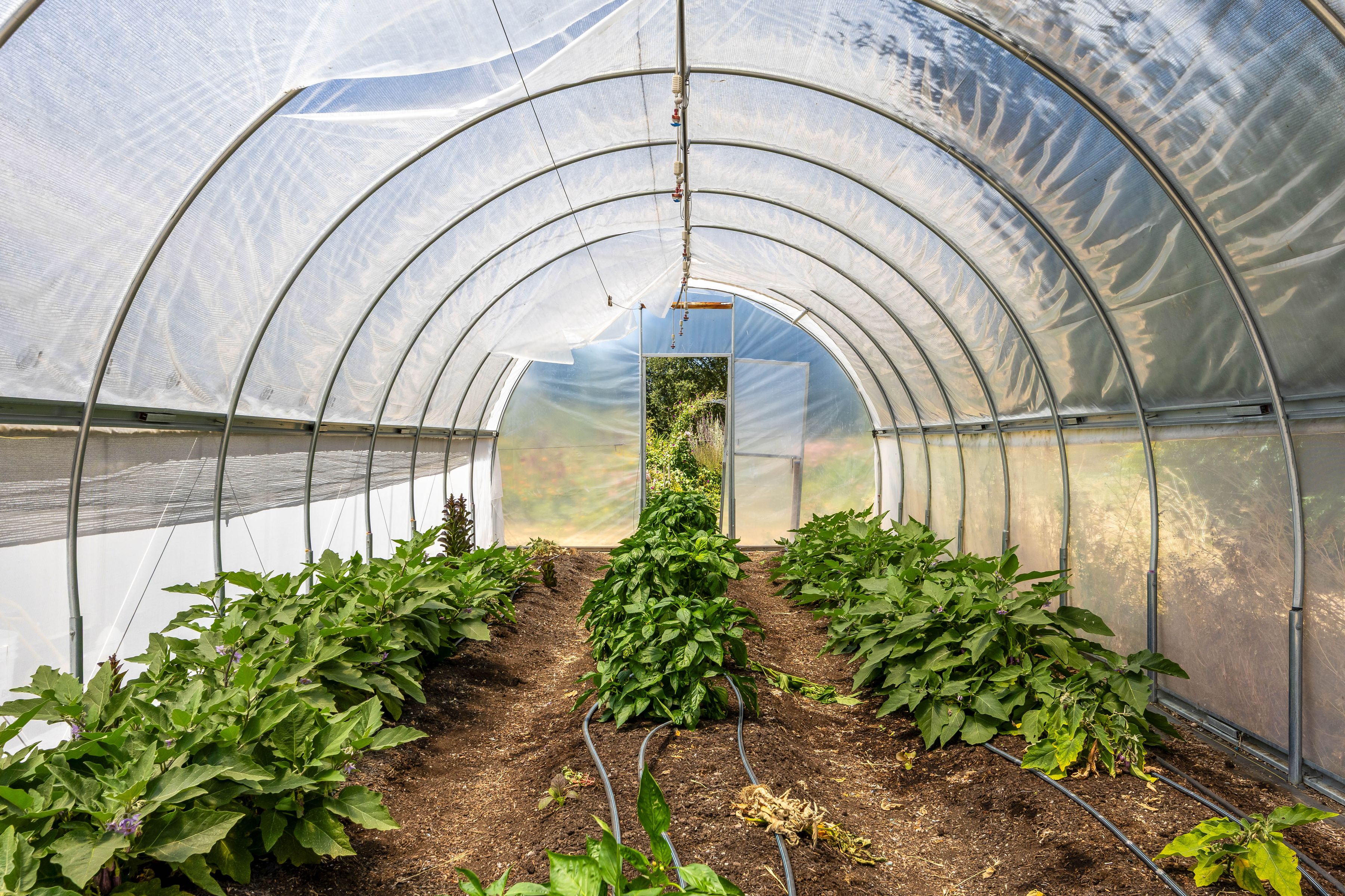  Peace and Plenty Farm - 物件實景