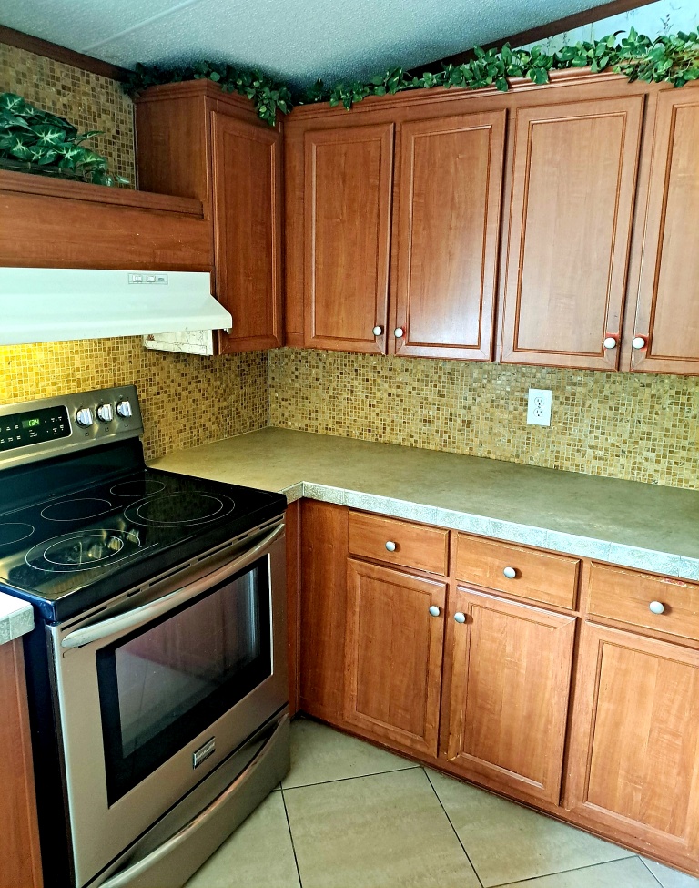 Crescent City, Florida, 32112, United States, 3 Bedrooms Bedrooms, ,Residential,For Sale,1943511