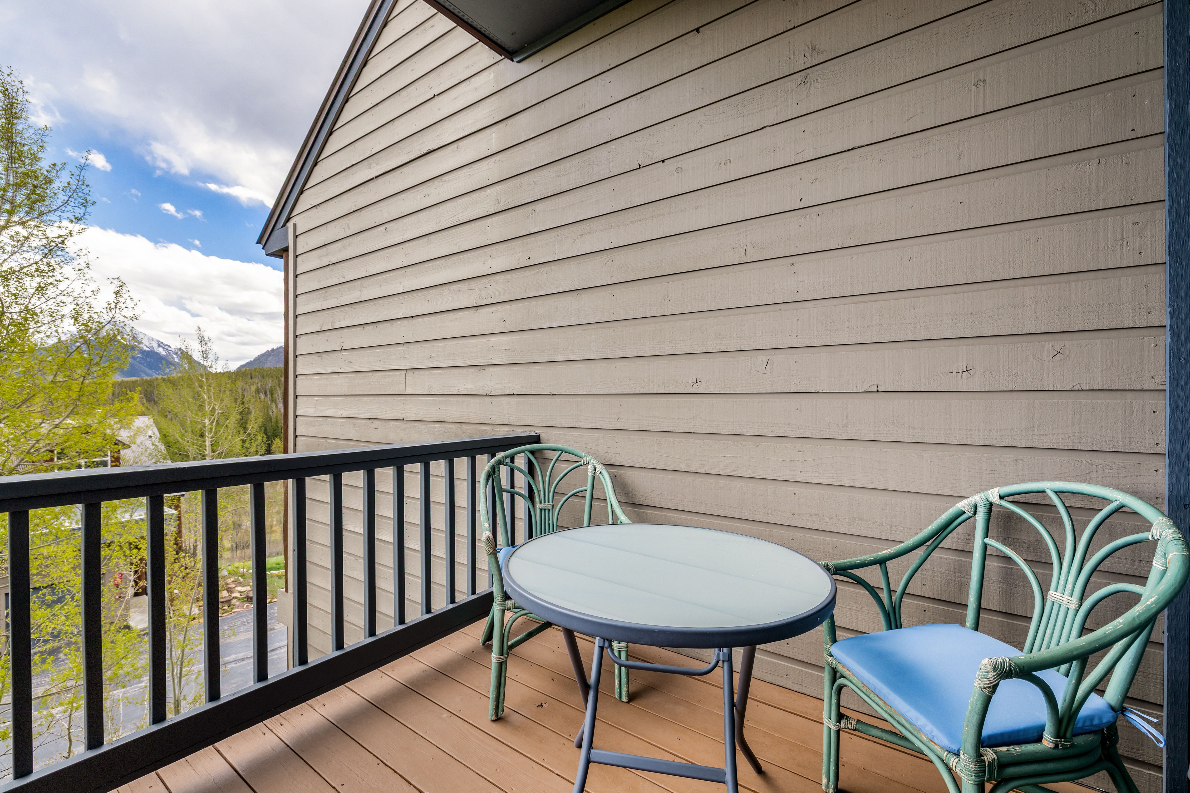  21 Deborah Share B Lane, Silverthorne, CO, 80498 - 物件實景