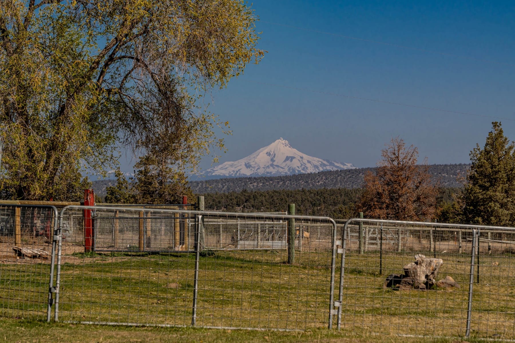  20900 SW Young Avenue Bend, OR 97703 - 物件實景