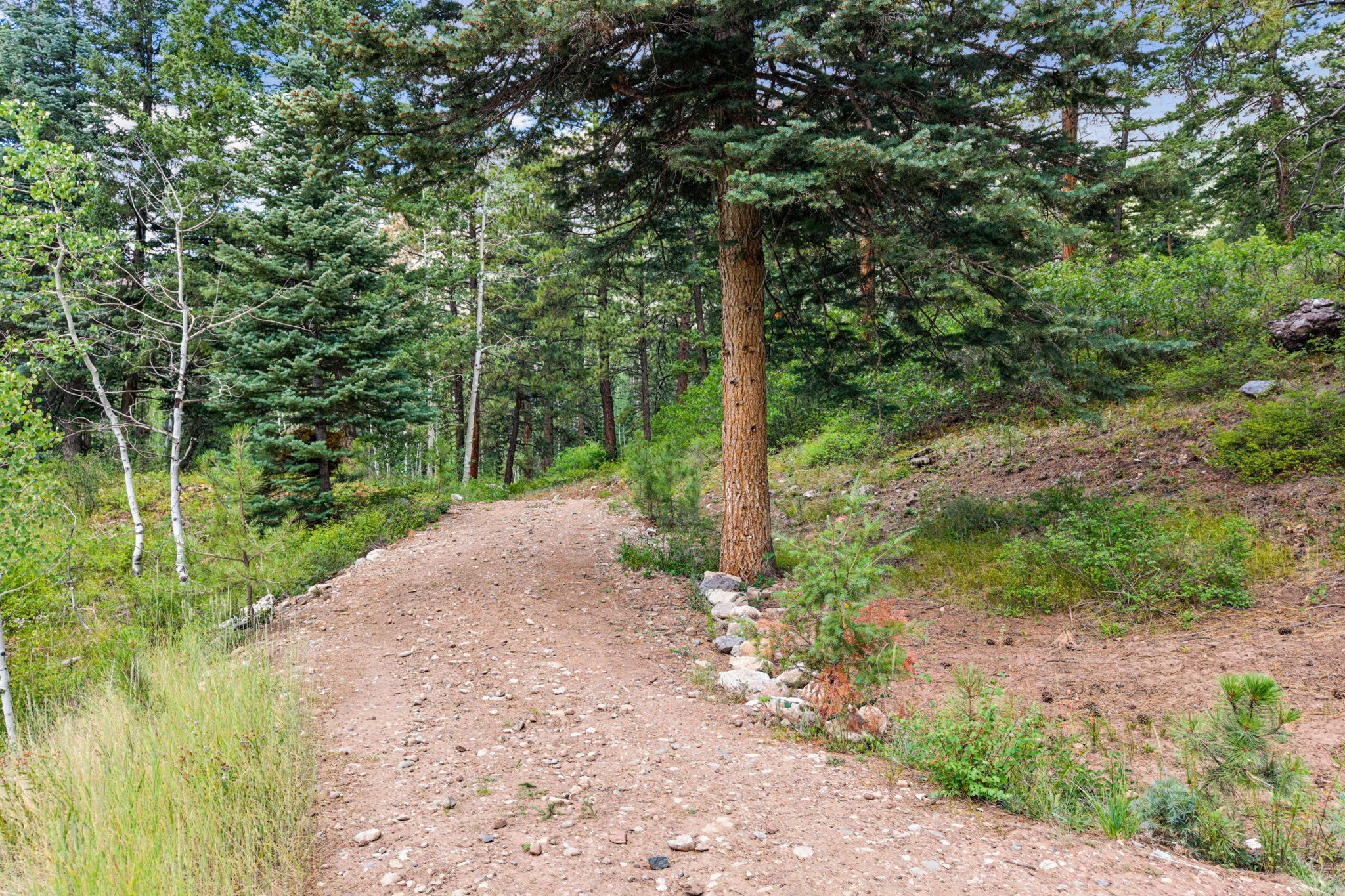  TBD East Spruce Mesa Drive, Durango, CO 81301 - 物件實景