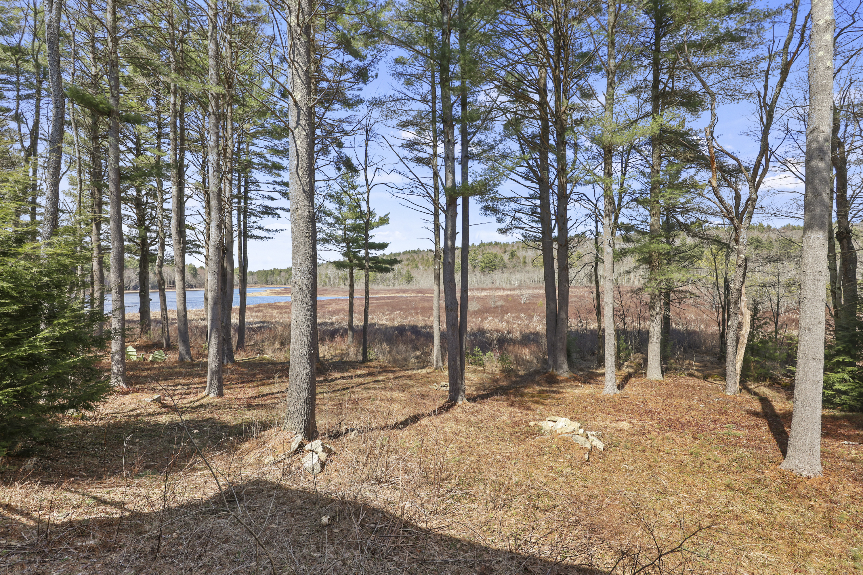  Berkshires Log Home Retreat with Wildlife Pond & Guest Apartment - 物件實景