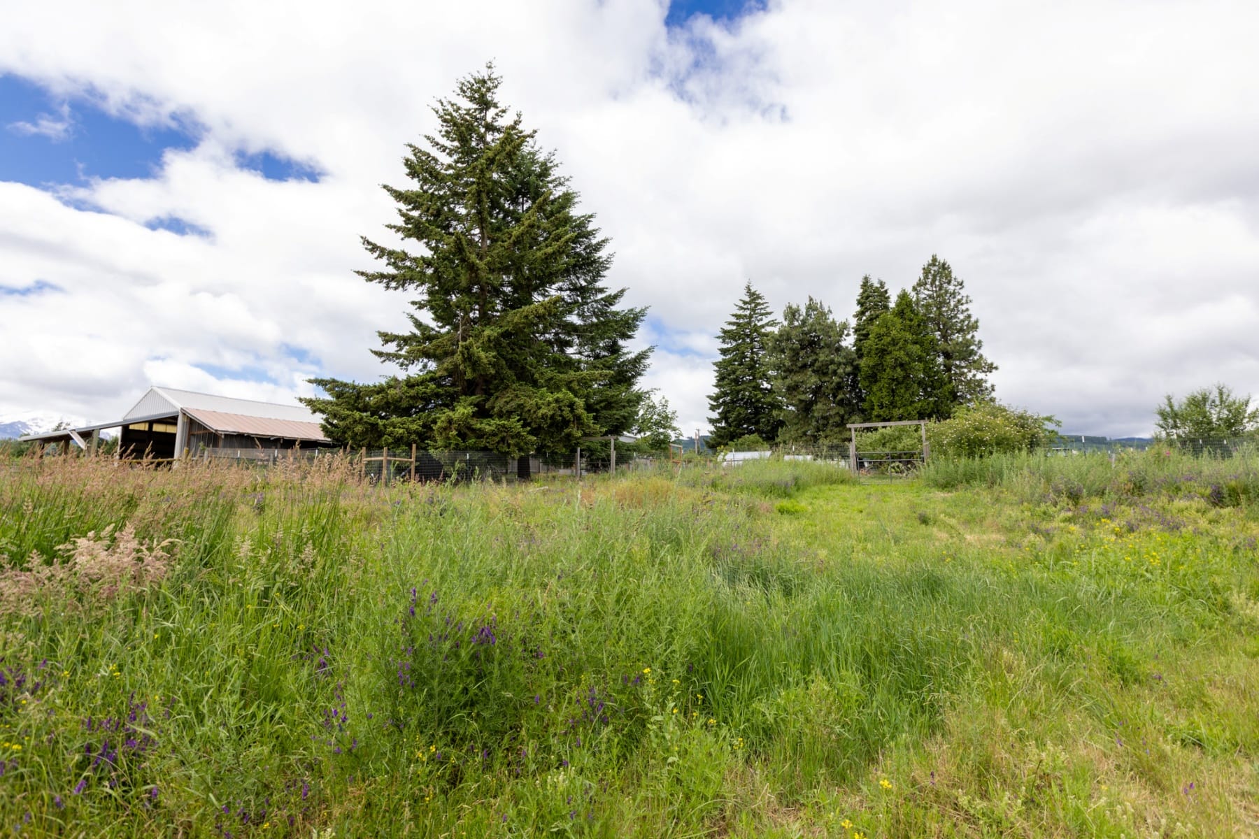  6455 TROUT CREEK RIDGE RD Mt Hood Prkdl, OR 97041 - 物件實景