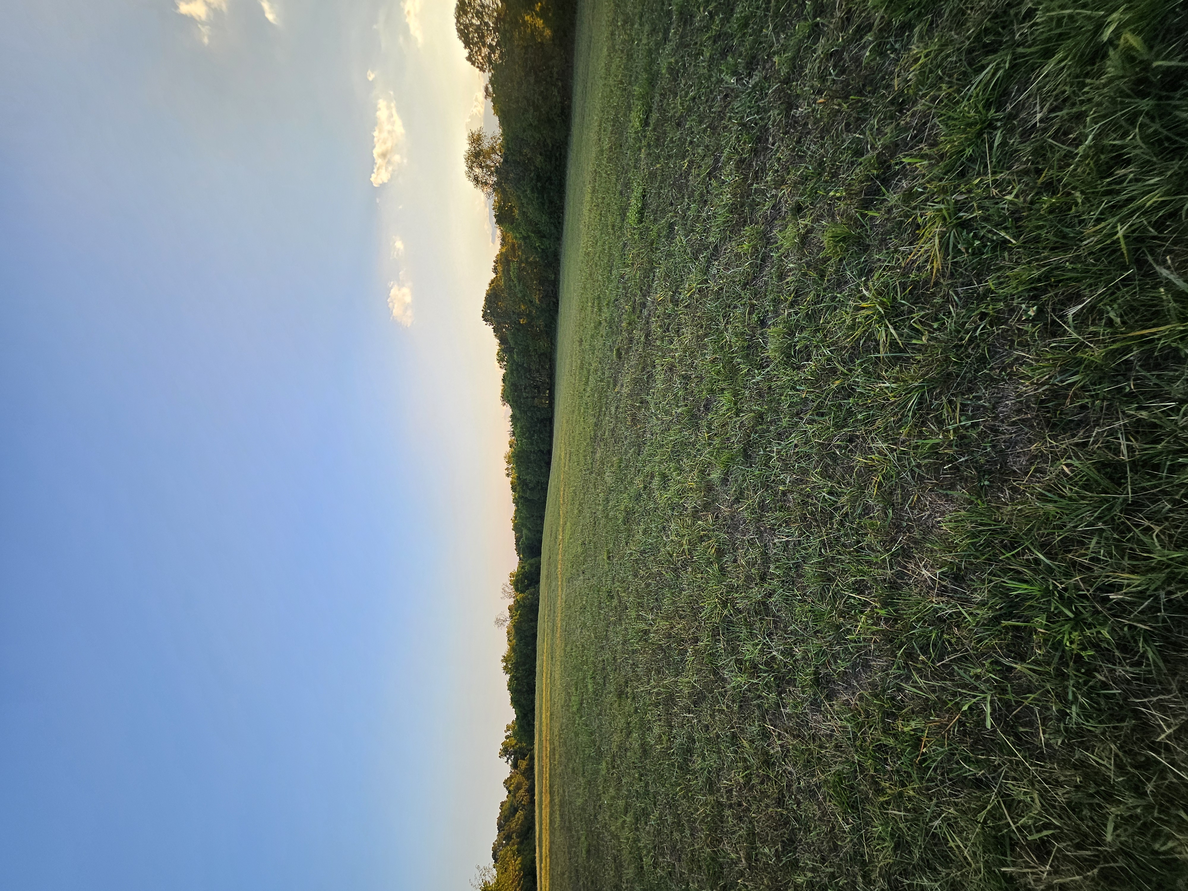 Pierce City, Missouri, 65723, United States, 5 Bedrooms Bedrooms, ,3 BathroomsBathrooms,Residential,For Sale,1975319