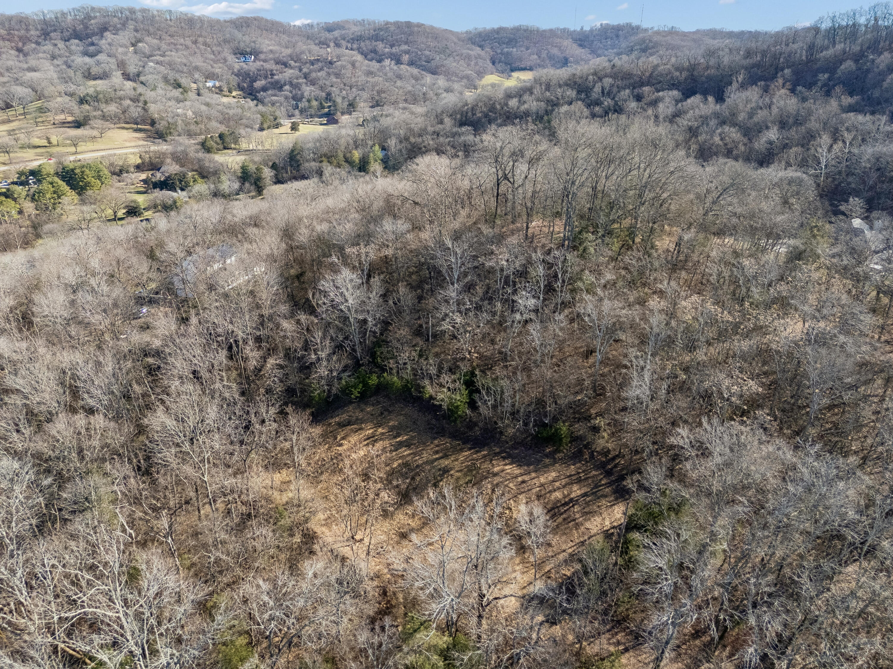 Brentwood, Tennessee, 37027, United States, ,Land,For Sale,2005446